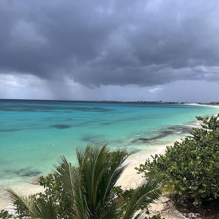 A beach with clear turquoise water, a sandy shore, and a line of palm trees.