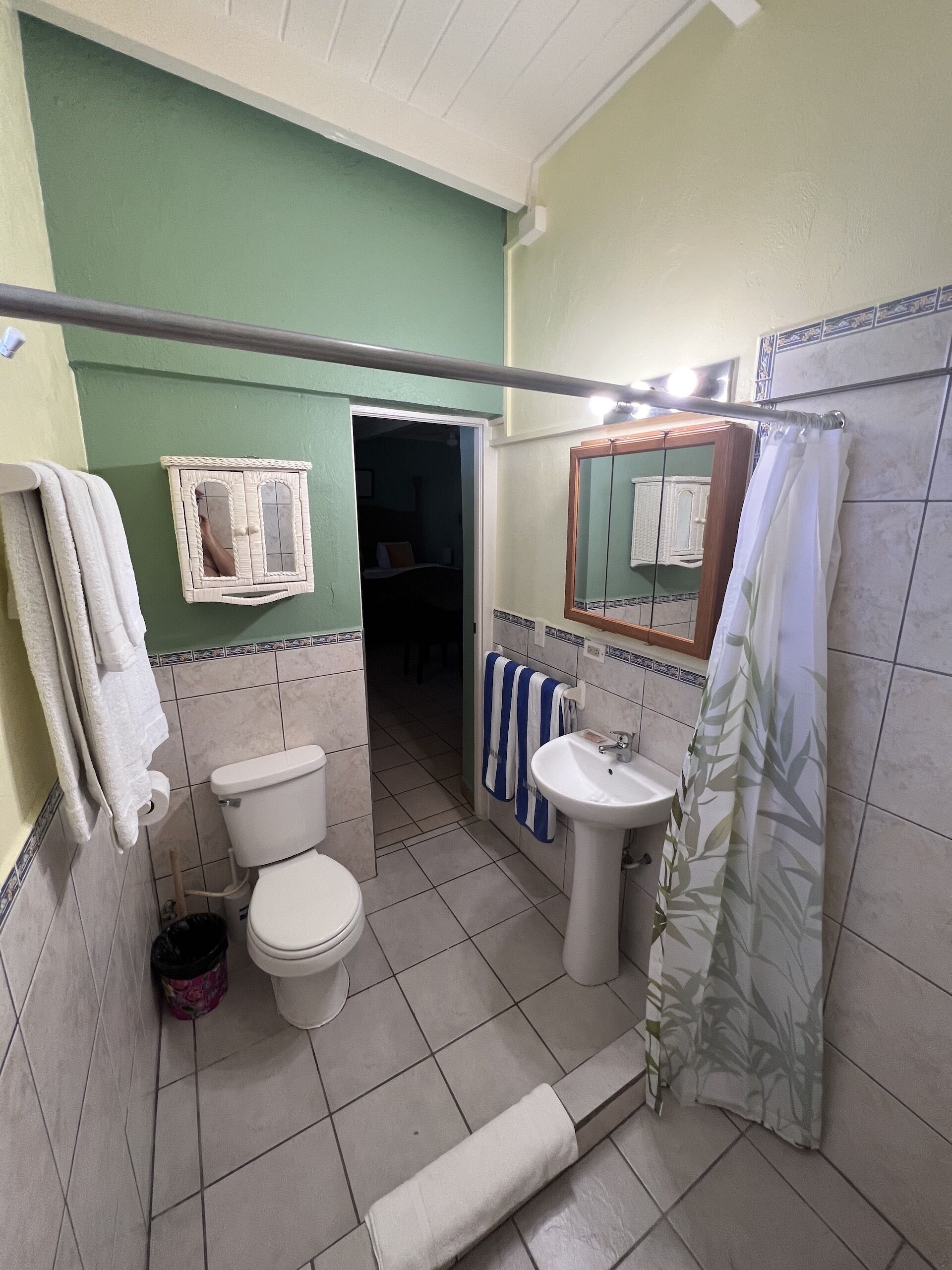 suite, one king bed, non-smoking (tropical suite) | bathroom | shower, free toiletries, towels