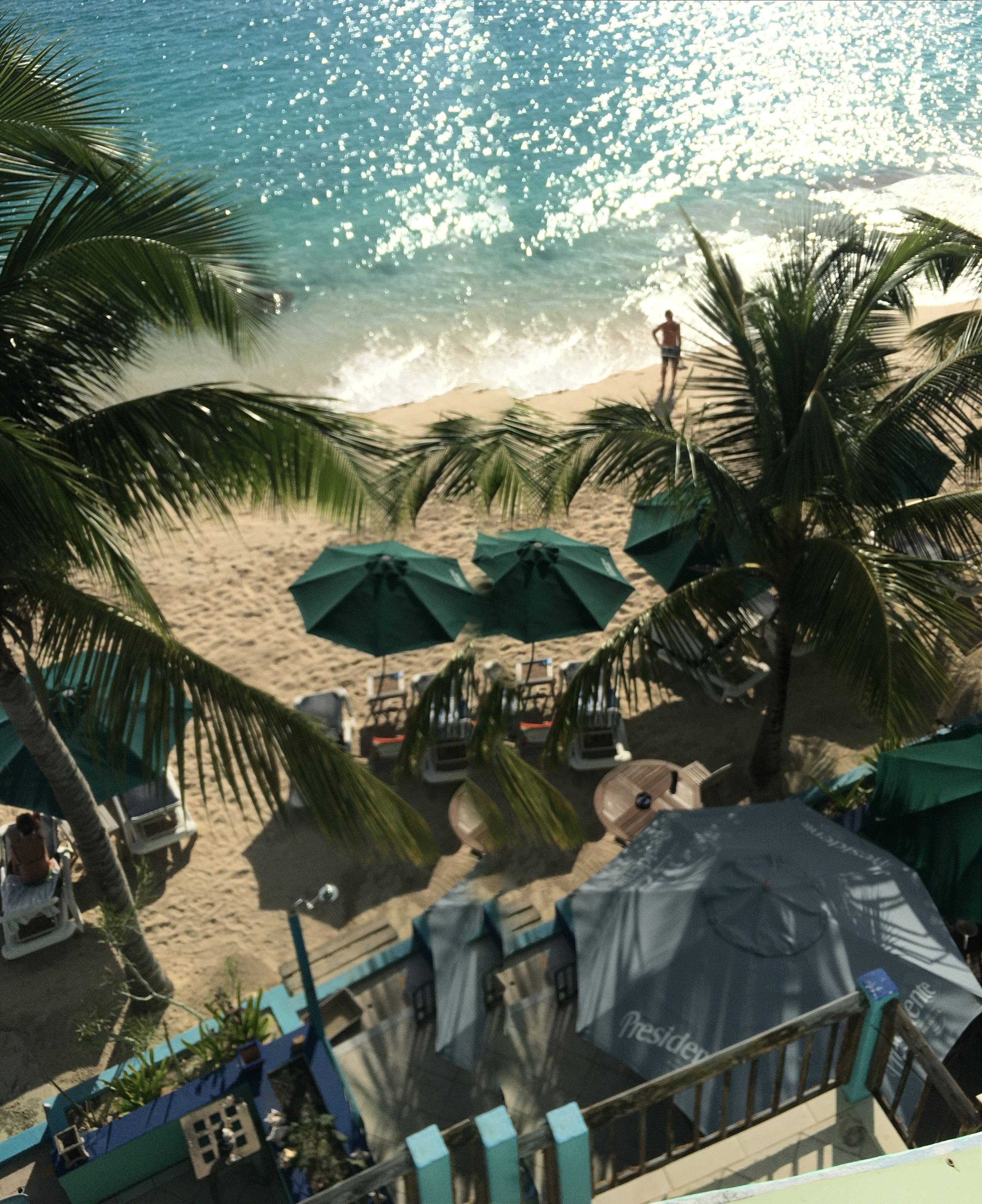 A beach with palm trees, umbrellas, and chairs.