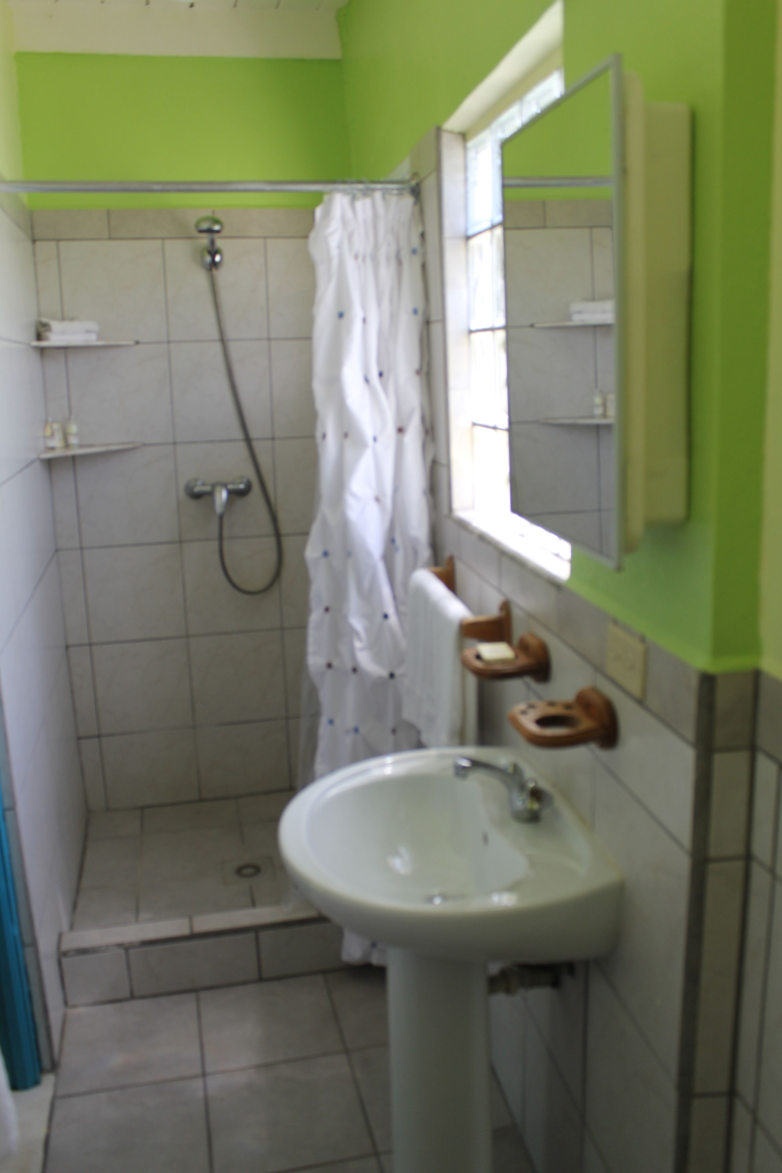 tiki suite | bathroom shower