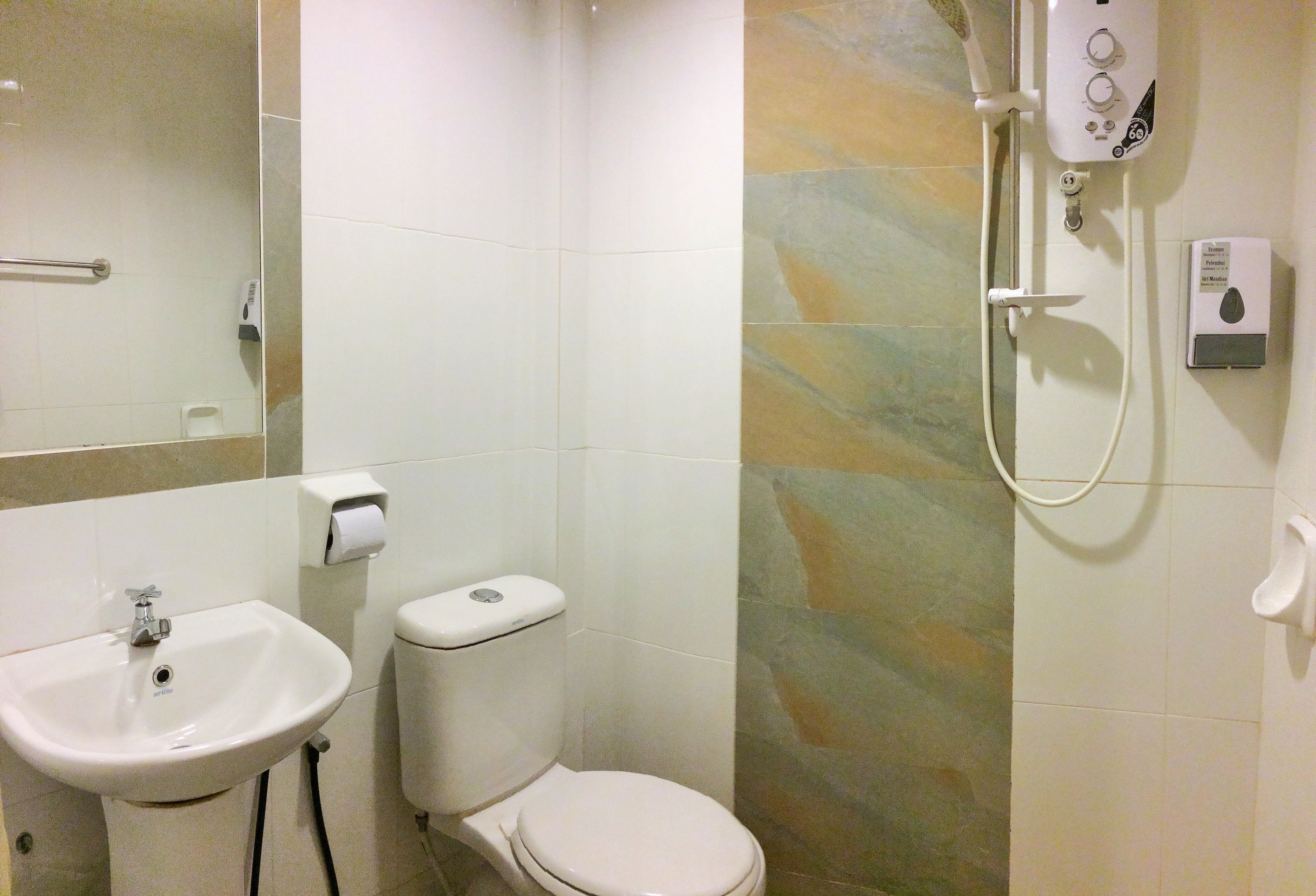 Une salle de bain avec un lavabo, des toilettes et une douche.