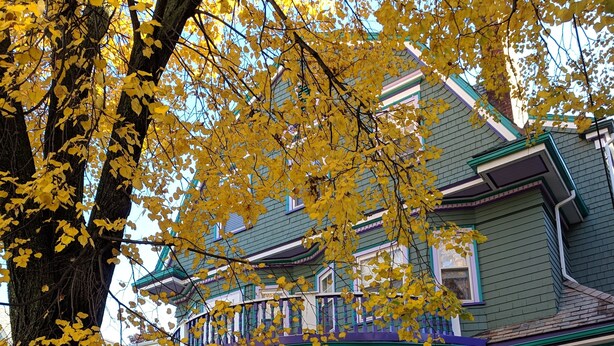A two-story house with a green exterior and white trim, featuring a porch with a purple railing and a small garden area with plants and a planter. - Coolidge Corner Guest House (Brookline)