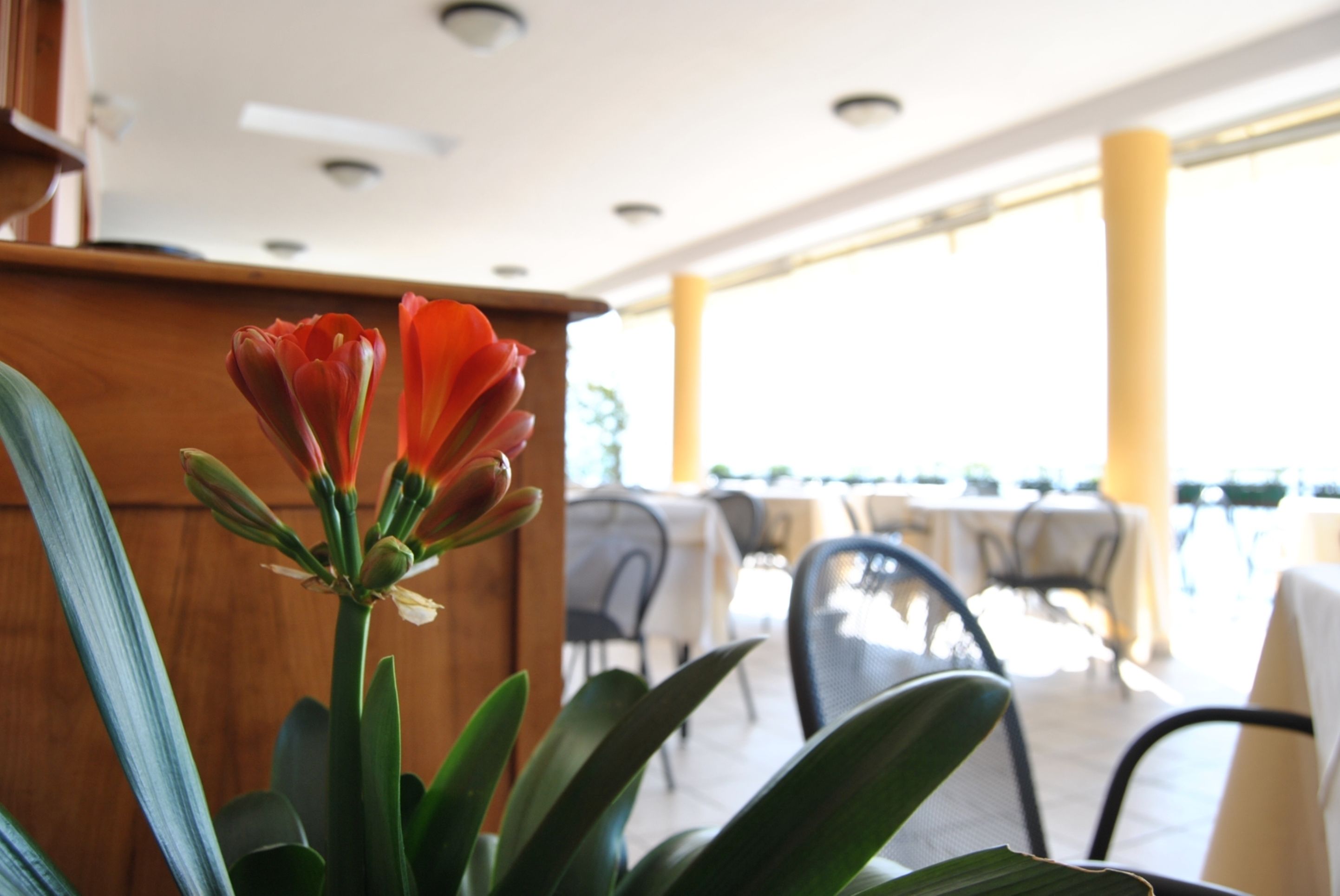A restaurant interior with a wooden counter, tables, and chairs.