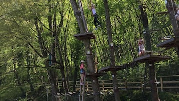 A forested area with wooden platforms and ropes for an adventure activity.
