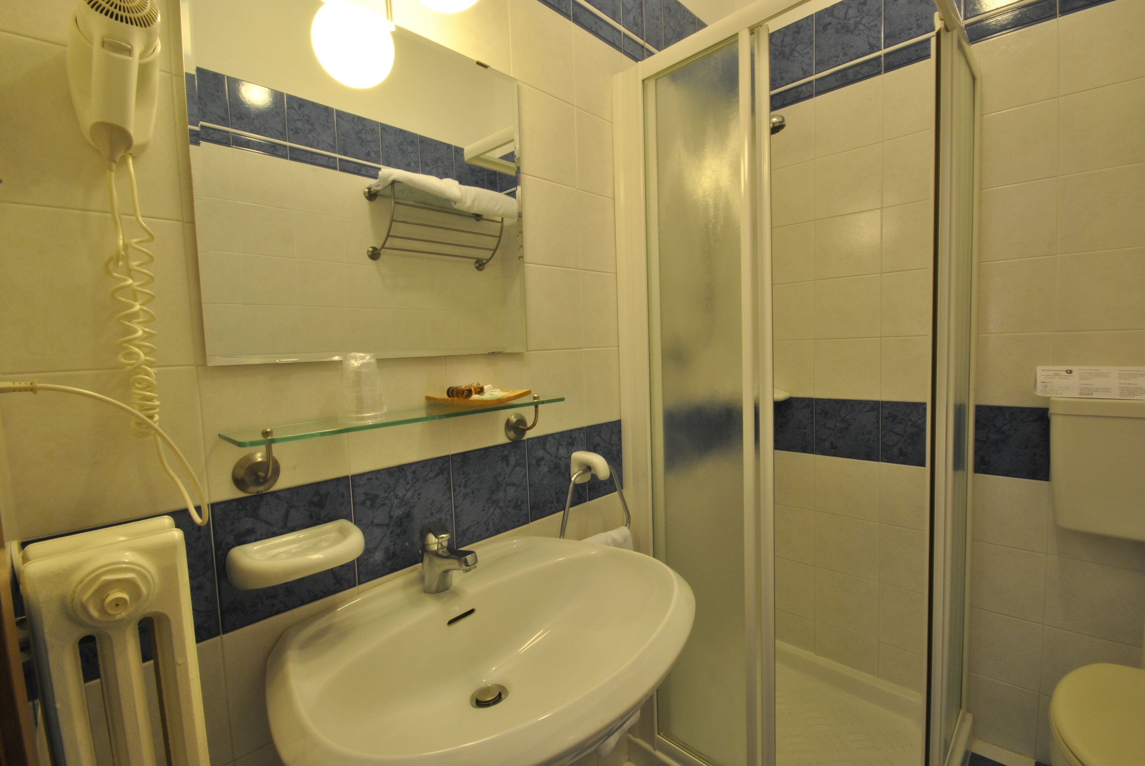 shower, free toiletries, hair dryer, bidet