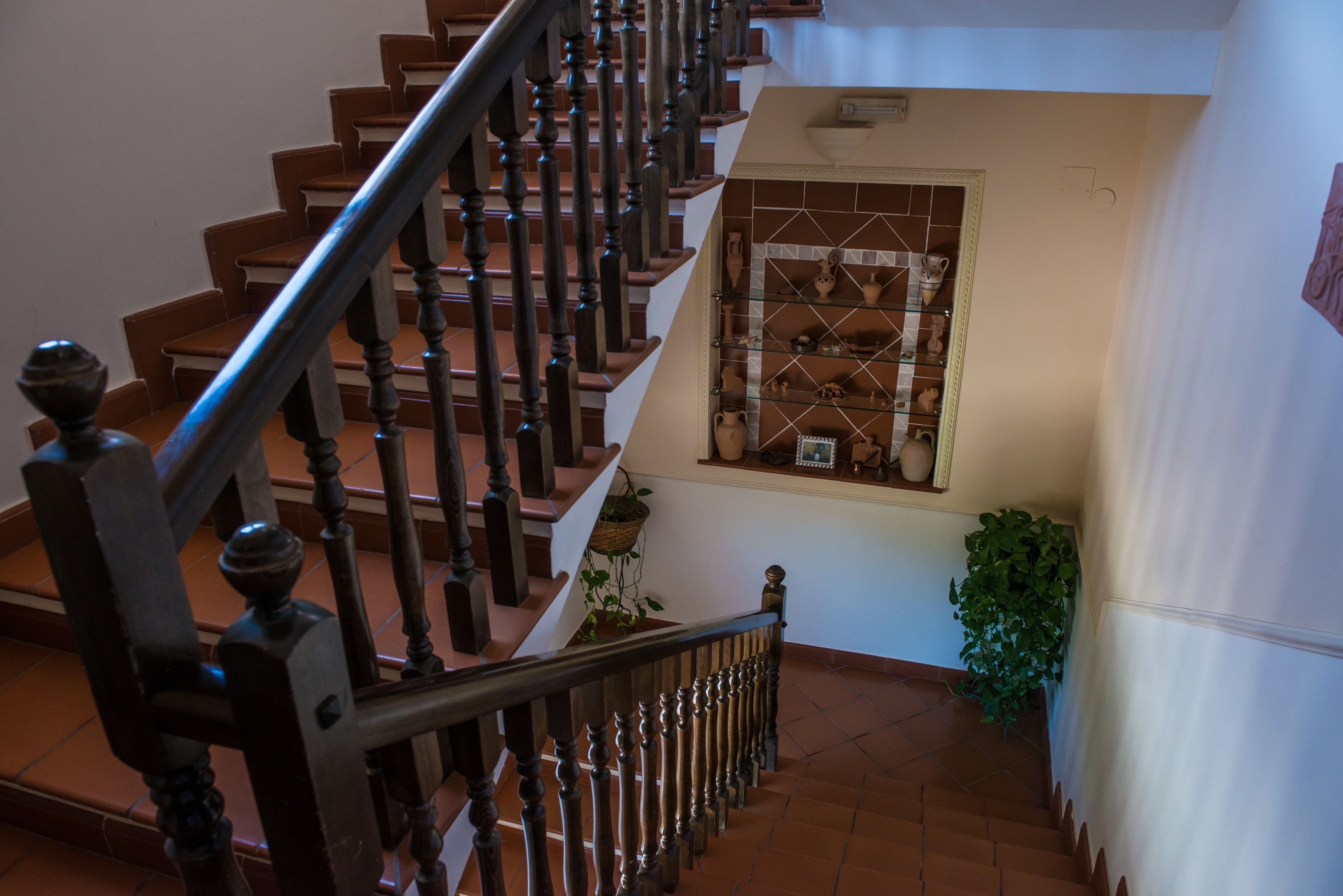 A wooden staircase with a handrail, a tiled floor, a window with shelves, and a potted plant.