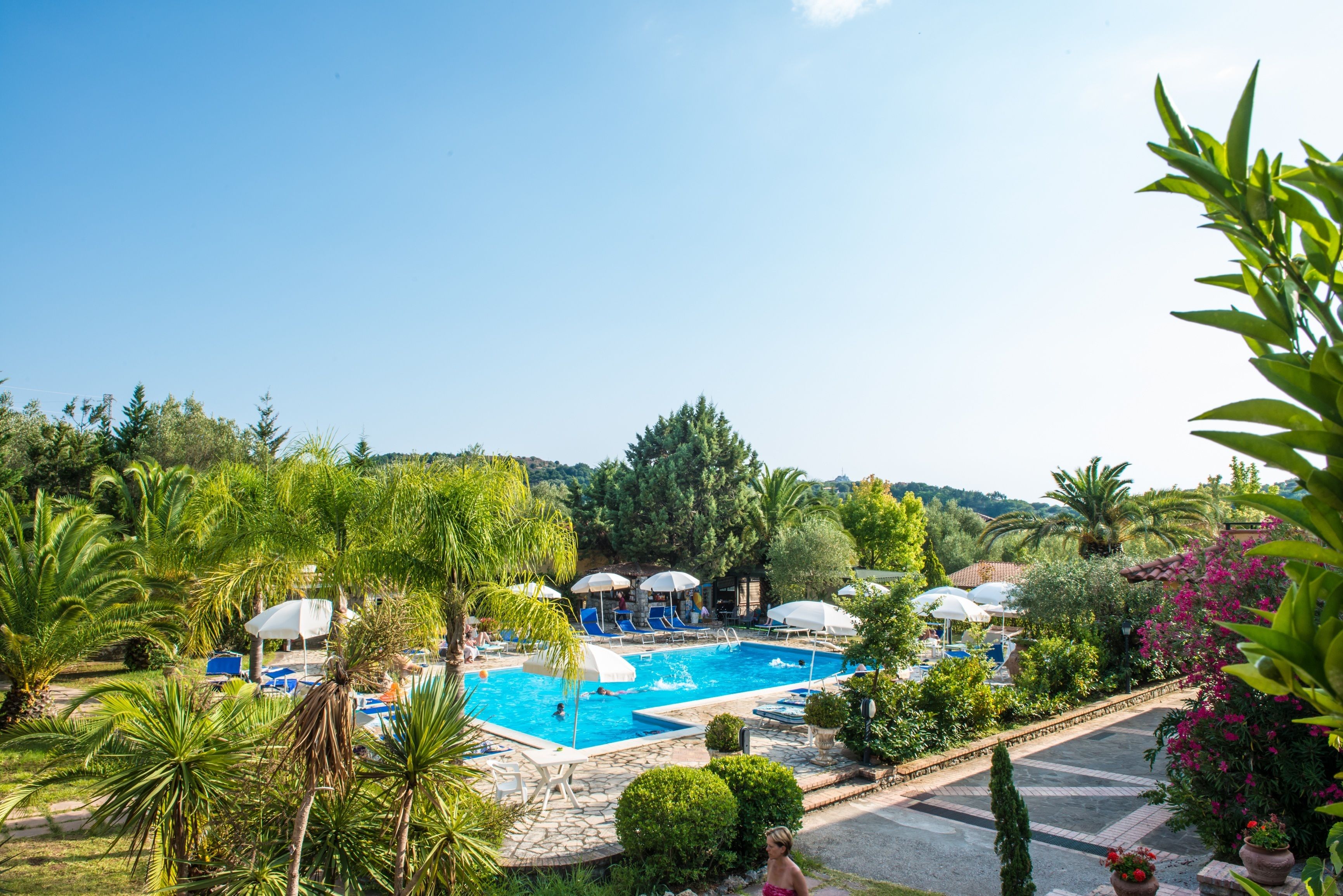 A pool area with lounge chairs and umbrellas, surrounded by greenery and palm trees.