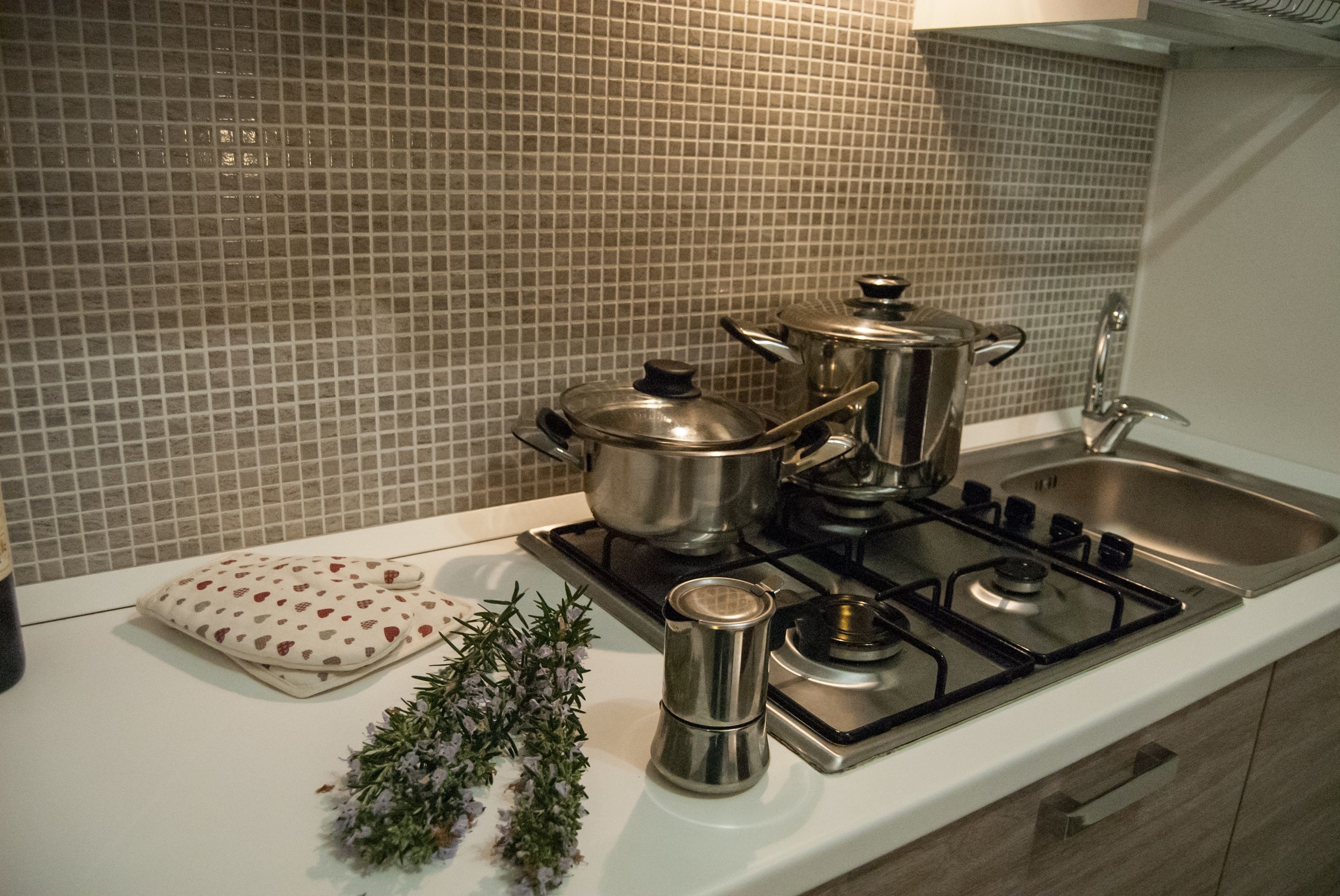 A kitchen with a gas stove, pots, a sink, and a decorative plant.
