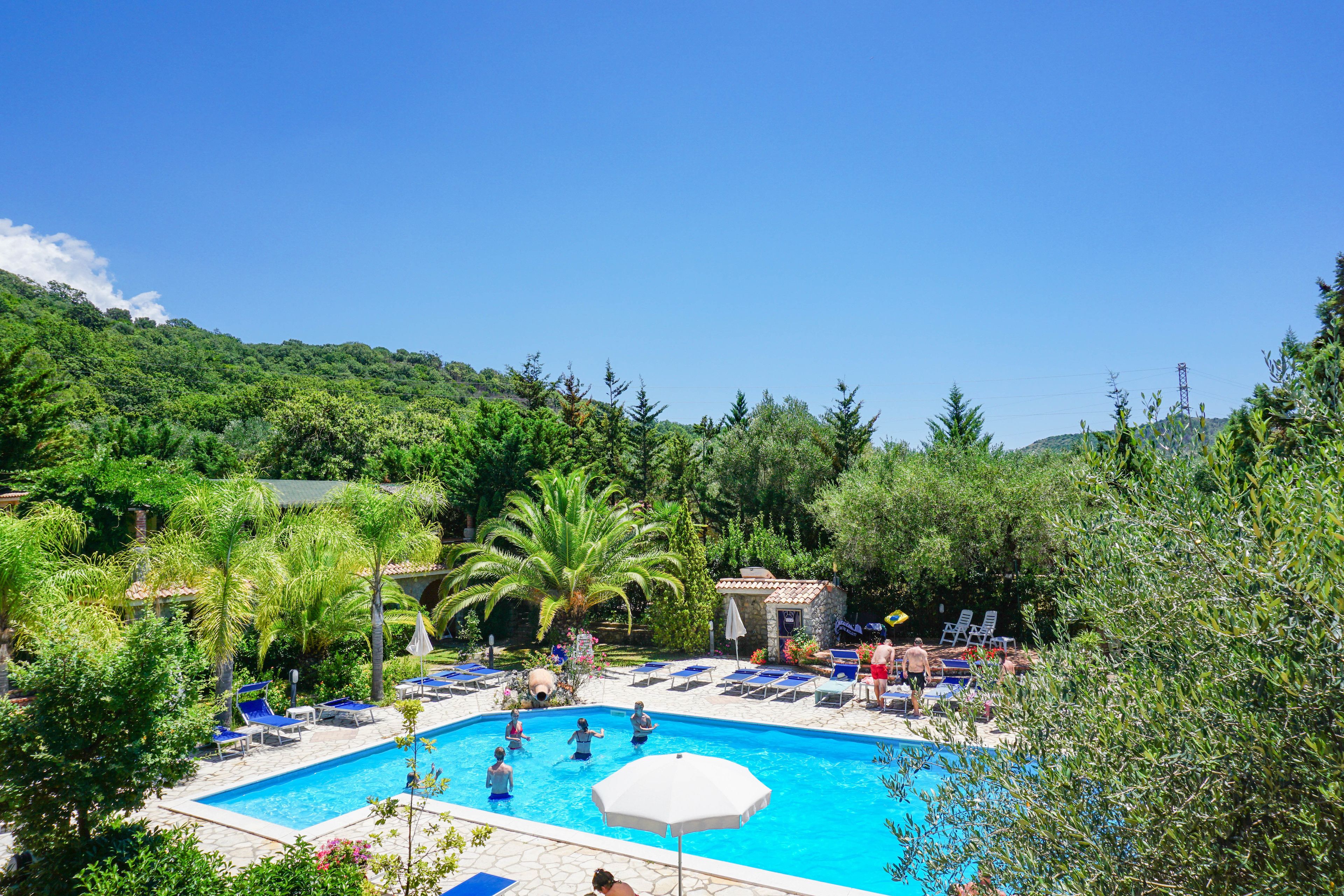 Piscina rodeada de sillas de descanso y palmeras, con vistas a una ladera boscosa.