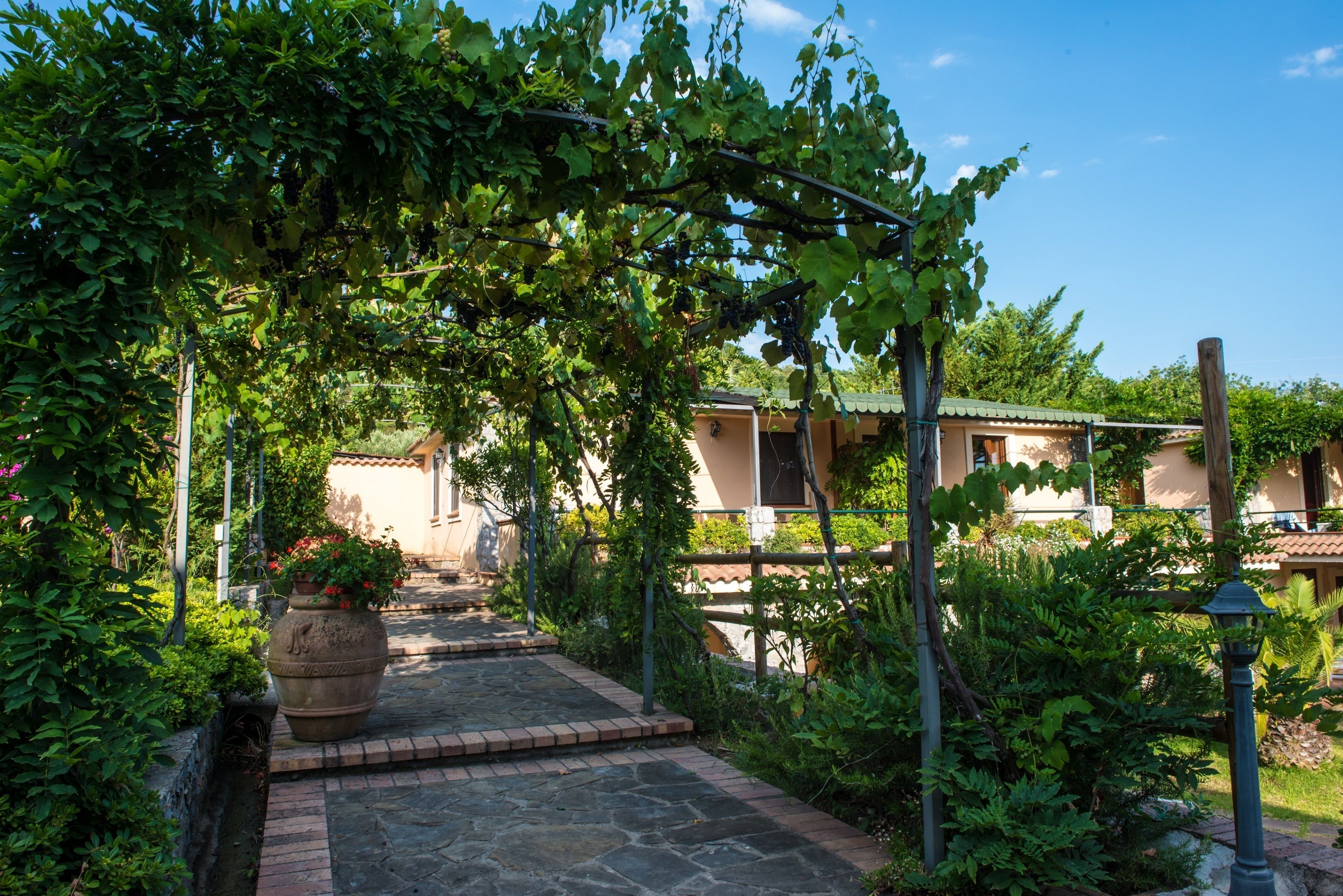 A stone pathway leading to a building with a tiled roof, surrounded by lush greenery and a pergola with vines.