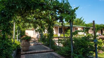 A stone pathway leading to a building with a tiled roof, surrounded by lush greenery and a pergola with vines.