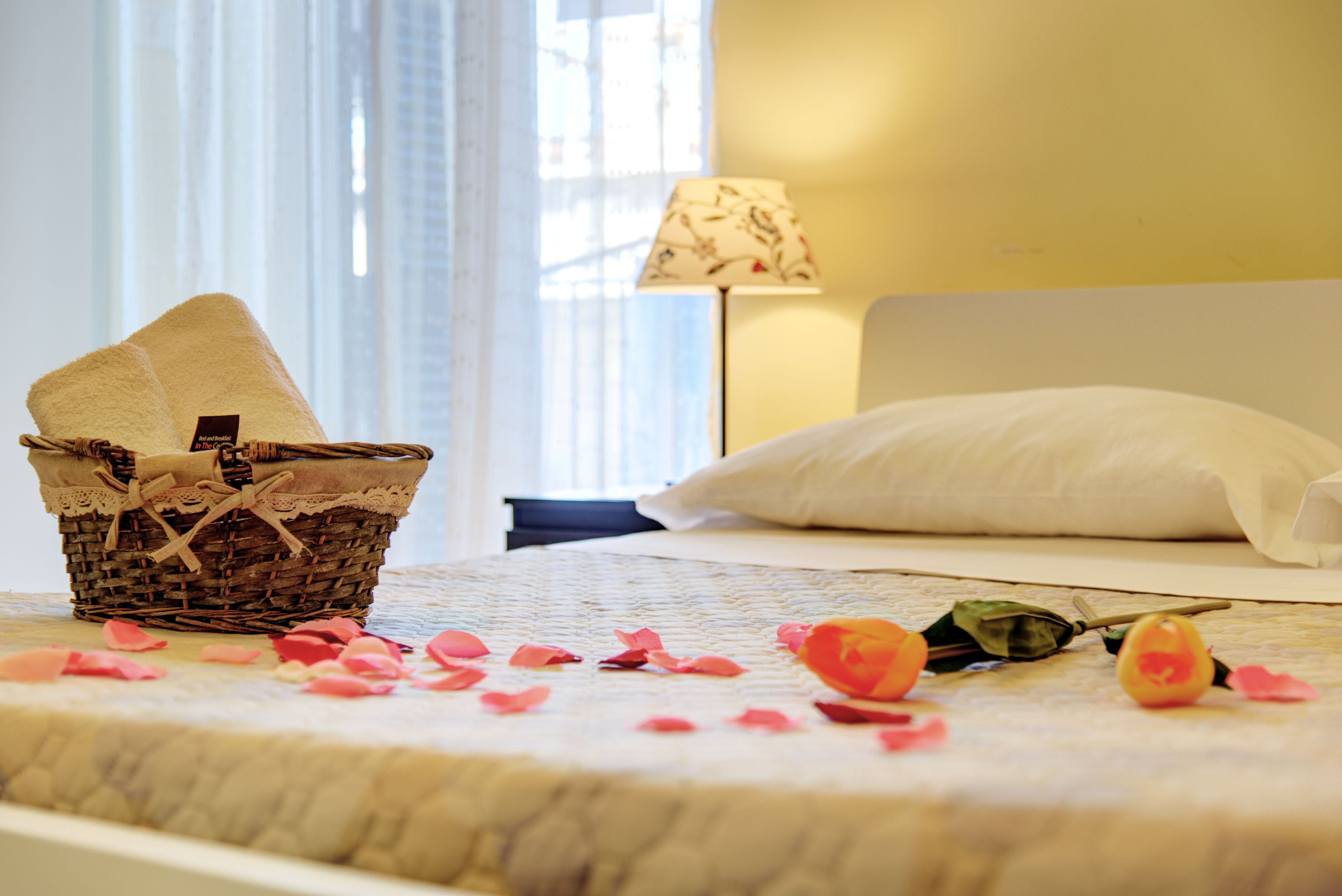 Photo - In the Center by Local Domus