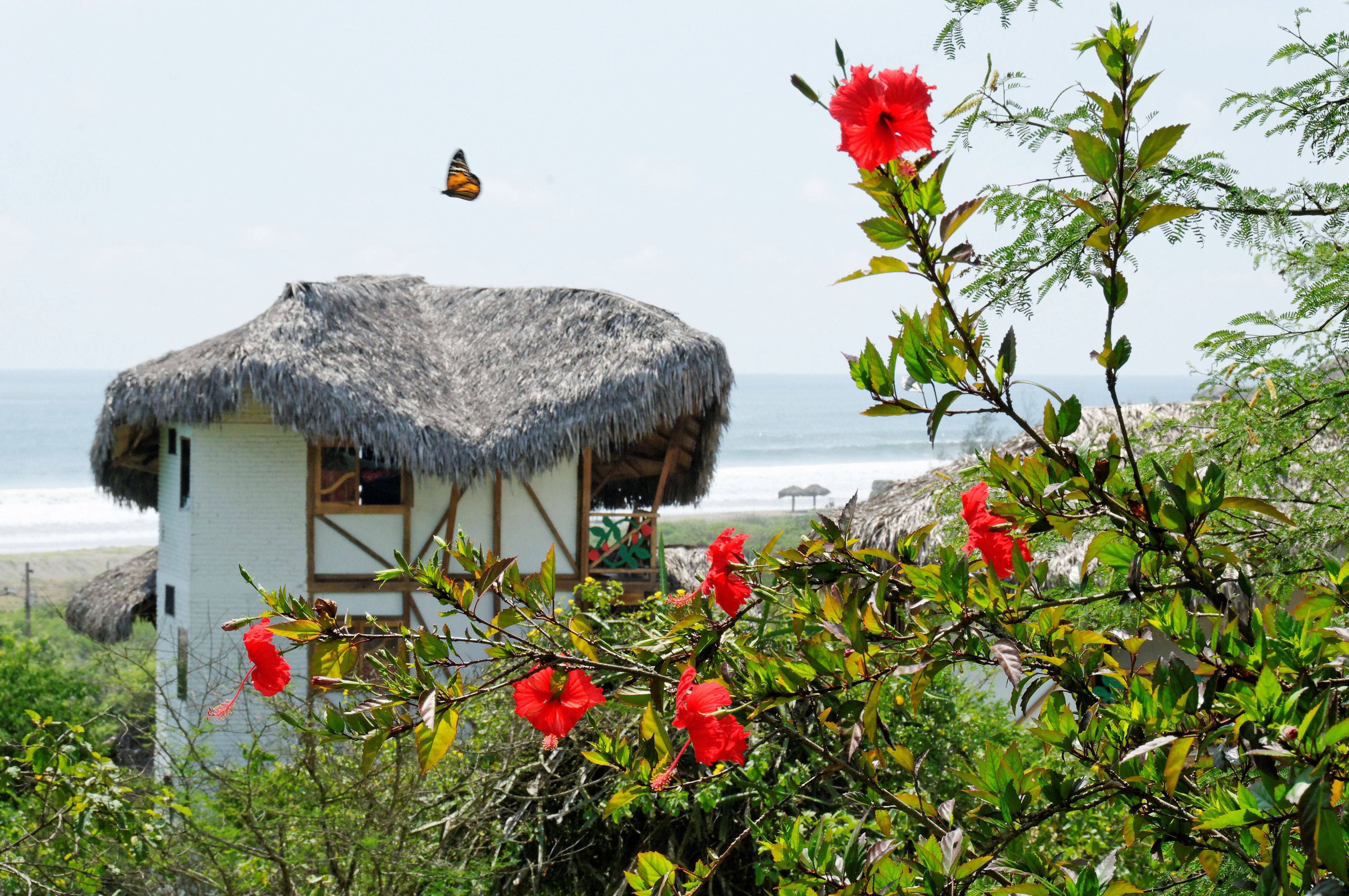 A thatched-roof hut with a view of the ocean, surrounded by lush greenery and red flowers.