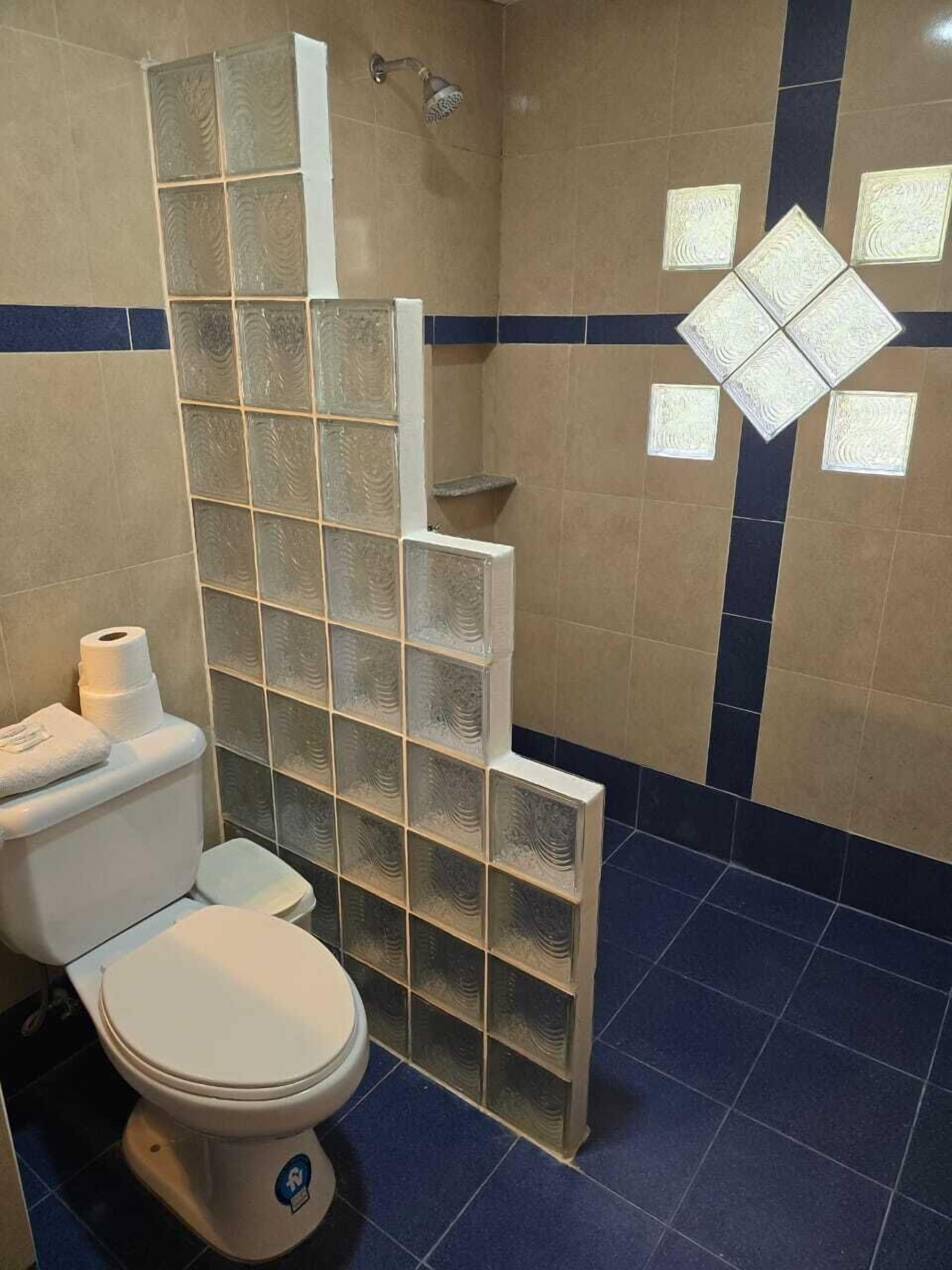 A bathroom with a toilet, a shower enclosure, and decorative tiles.