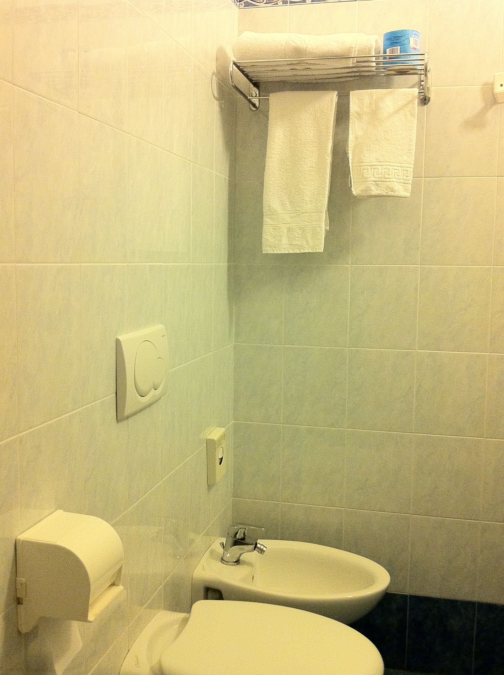 single room | bathroom | shower, rainfall showerhead, free toiletries, hair dryer