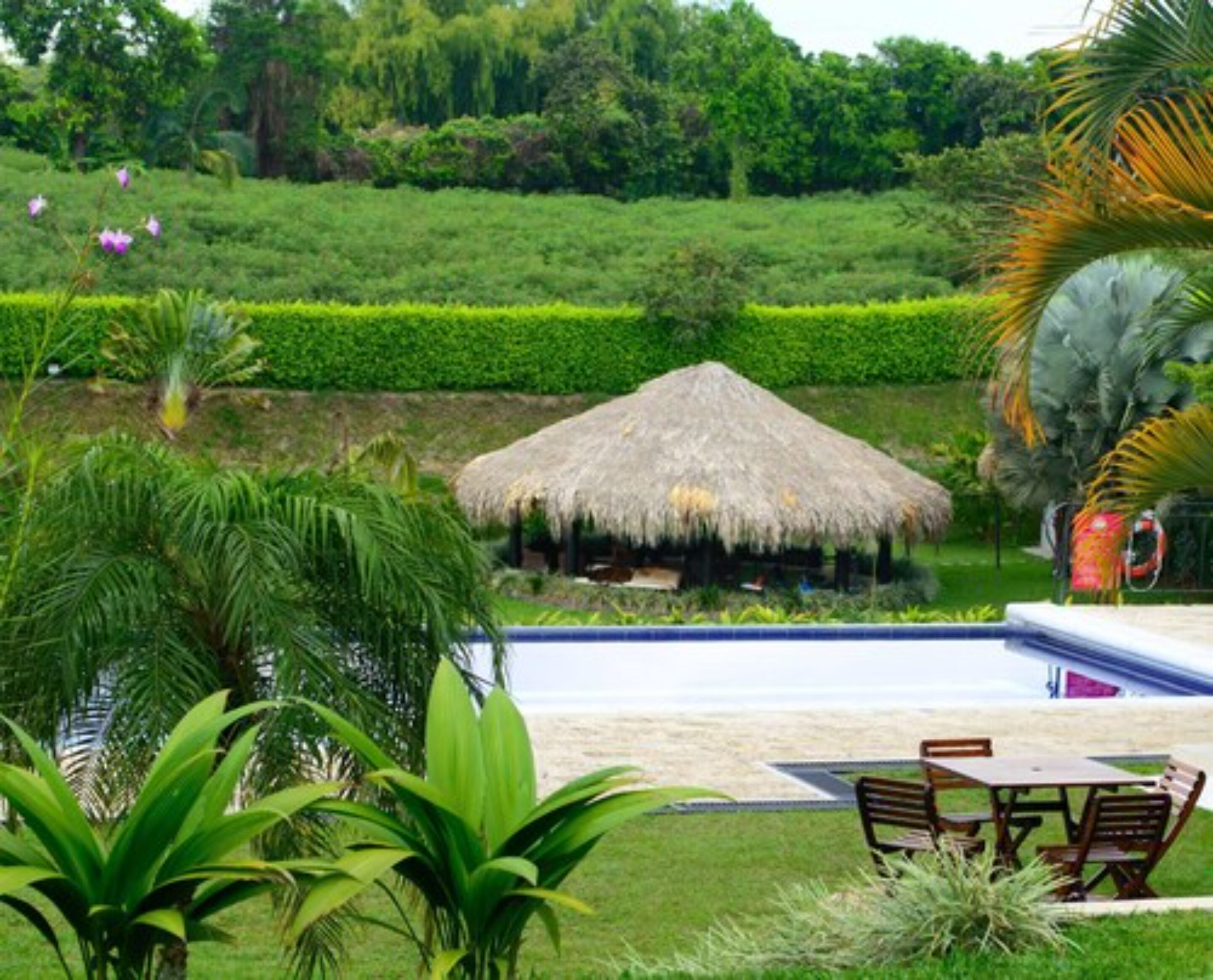 seasonal outdoor pool, open 7 am to 9 pm, pool umbrellas, pool loungers