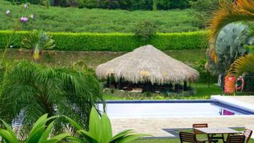 Alberca al aire libre por temporada y sombrillas en la alberca