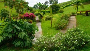 Un jardín exuberante con diversas plantas y un sendero.