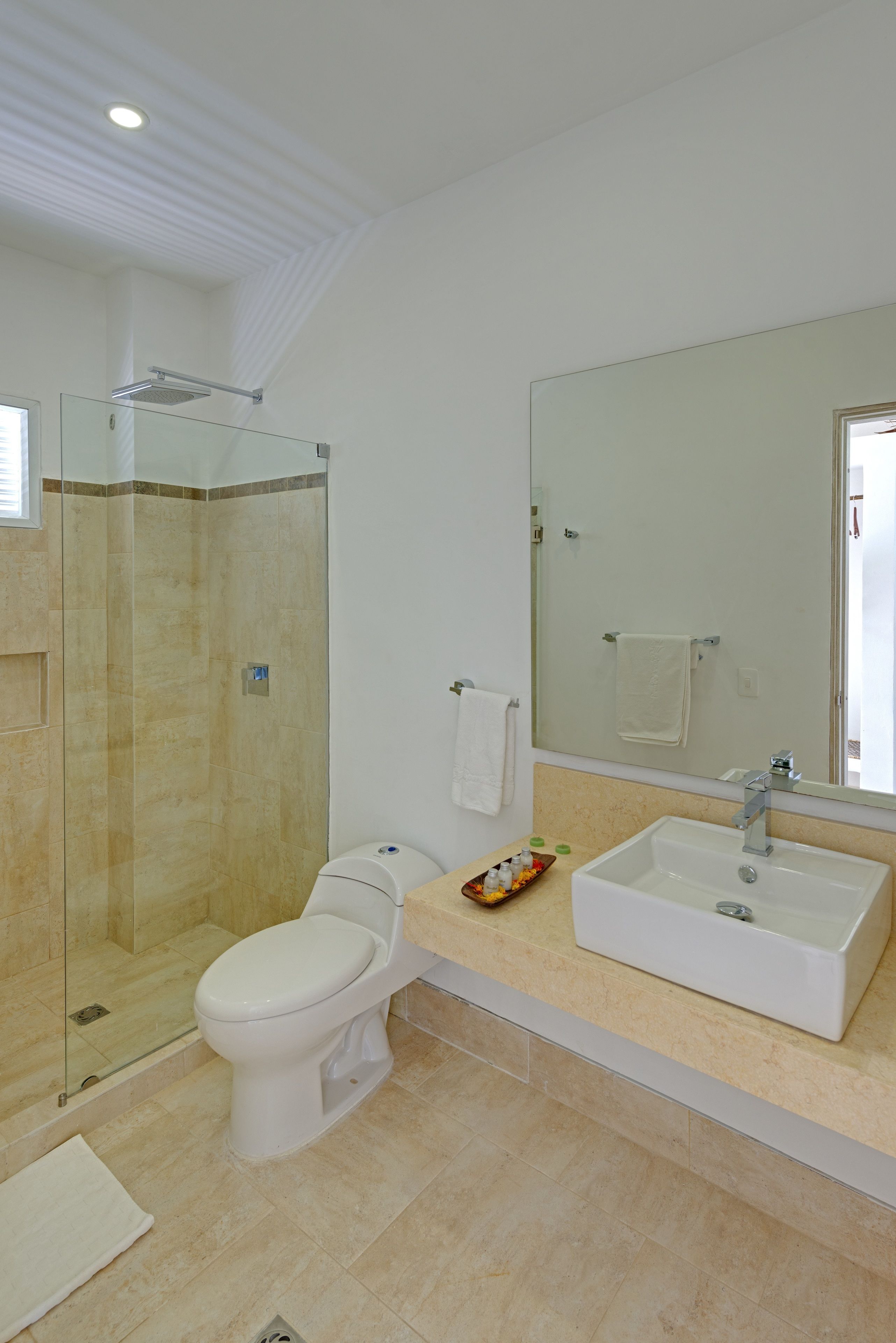 shower, rainfall showerhead, hair dryer, towels