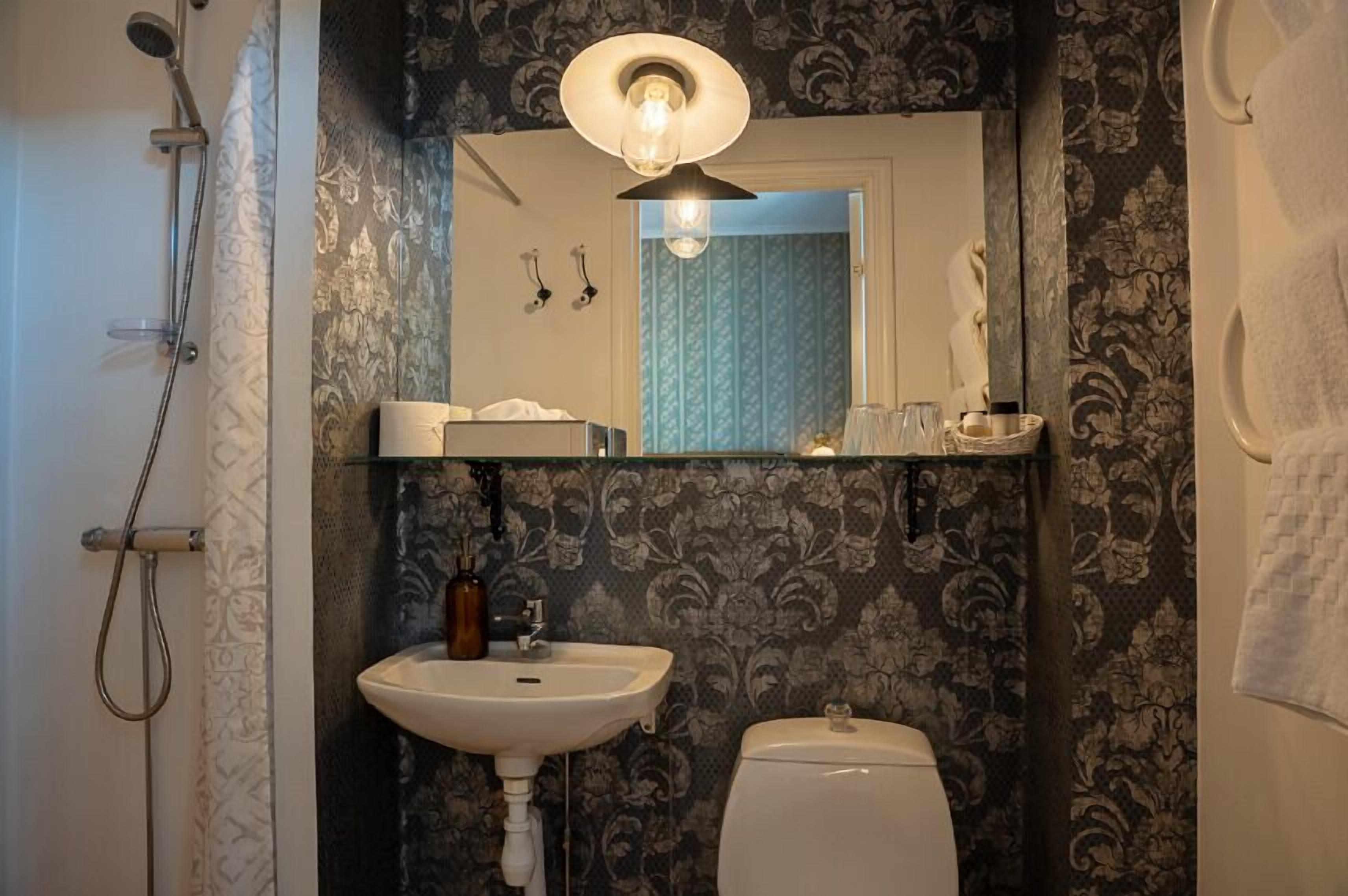 Et badeværelse med bruser, håndvask, toilet og et spejl med lysarmatur over.