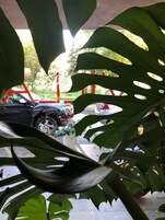 Un estacionamiento con un coche y una planta en maceta.