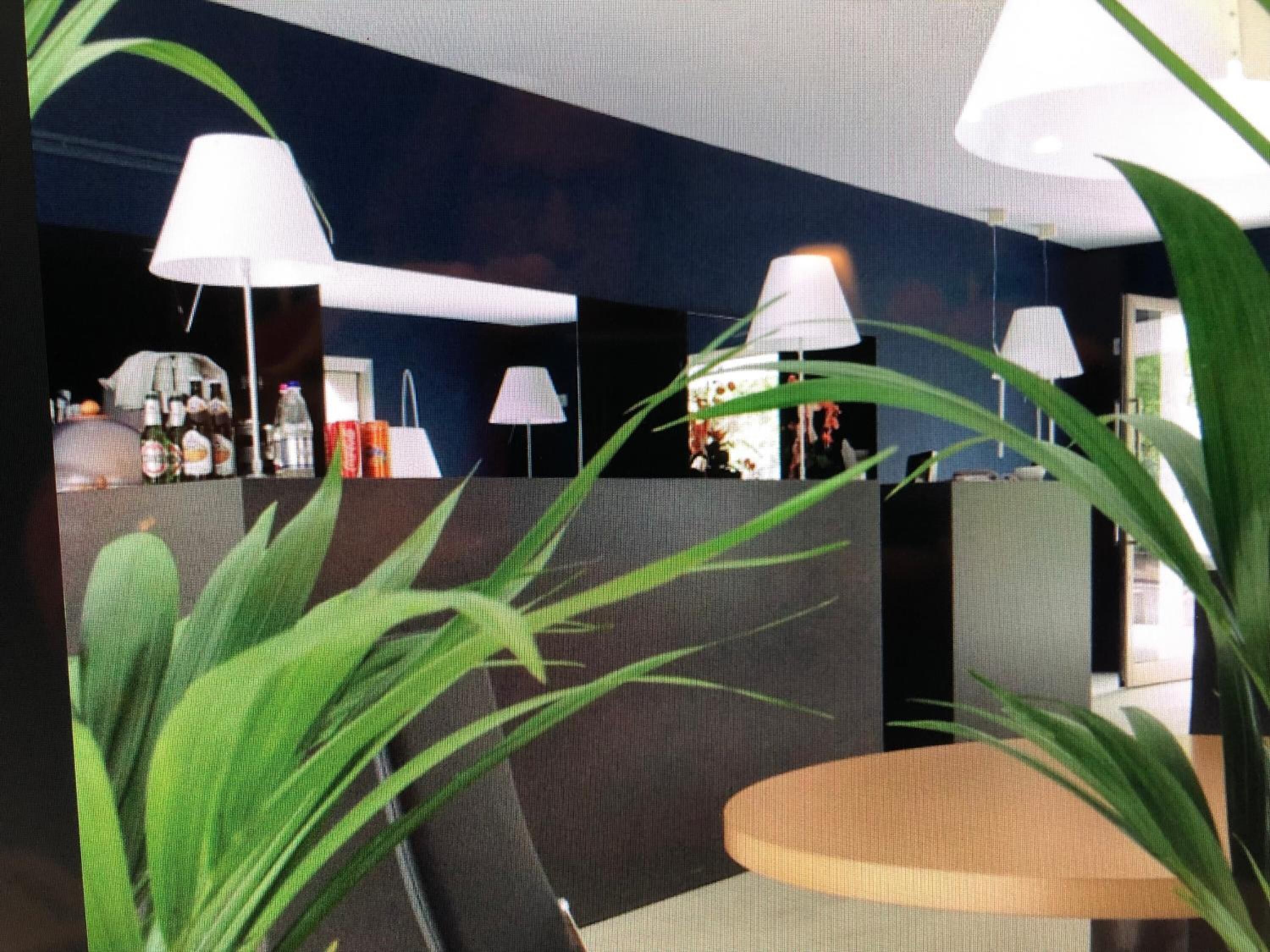 A lobby area with a reception desk, a seating area, and a plant in the foreground.