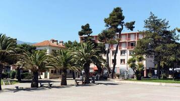 A courtyard with palm trees, benches, and buildings with balconies.