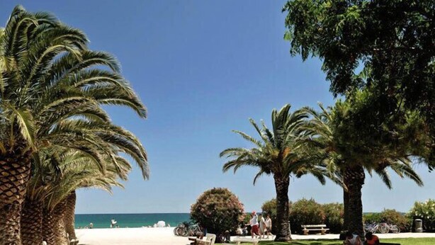A beachside park with palm trees, benches, and a clear view of the ocean. - Hôtel Beau Rivage (Argelès-sur-Mer)