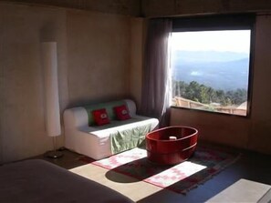 تلفزيون بشاشة مسطحة، مشغل دي في دي