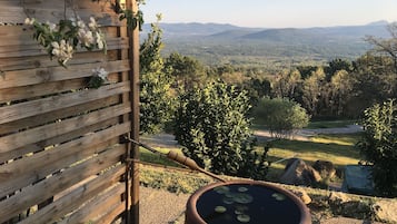 Junior kamer | Uitzicht vanuit de kamer