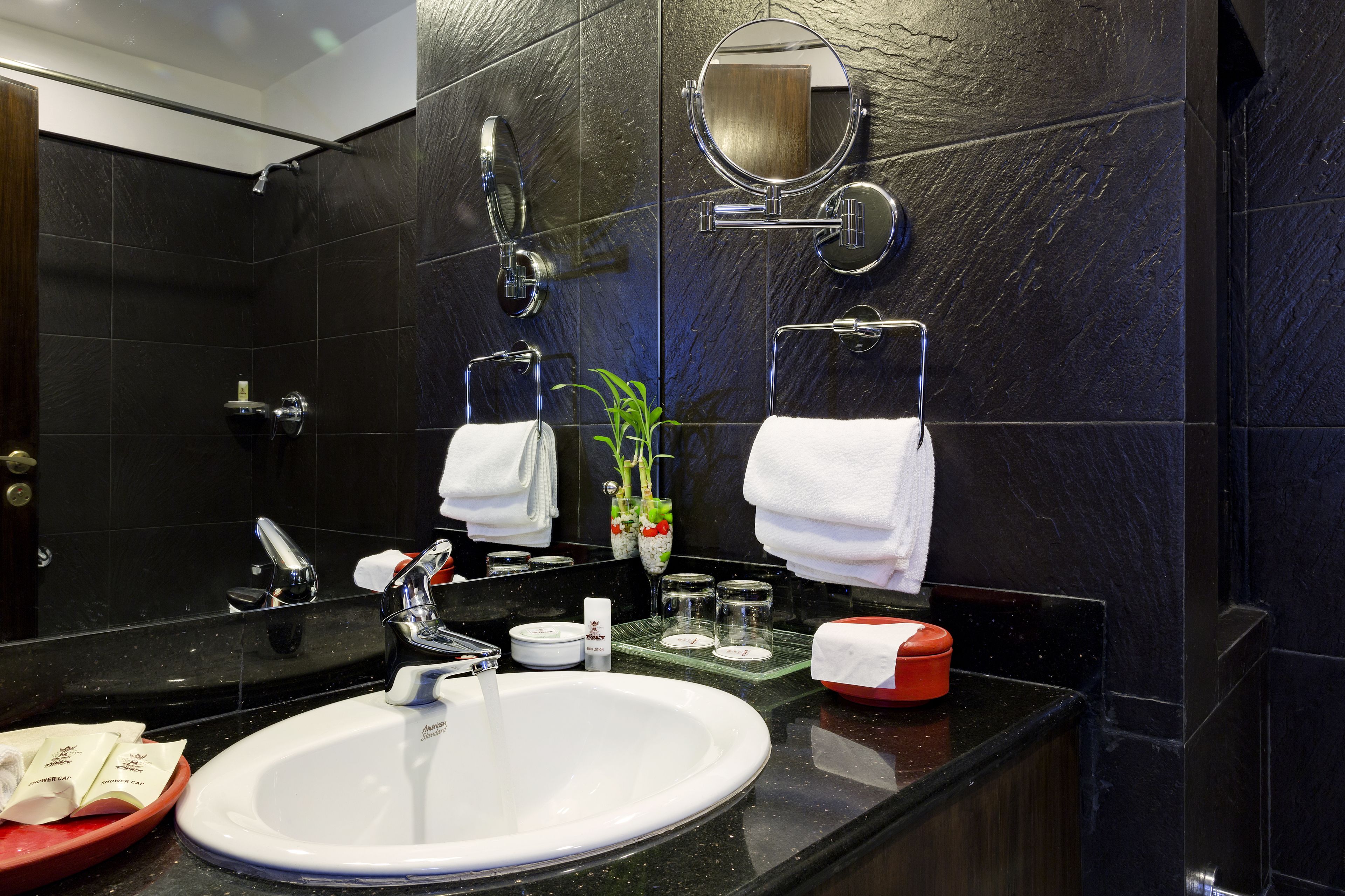 separate bathtub and shower, free toiletries, hair dryer, bathrobes