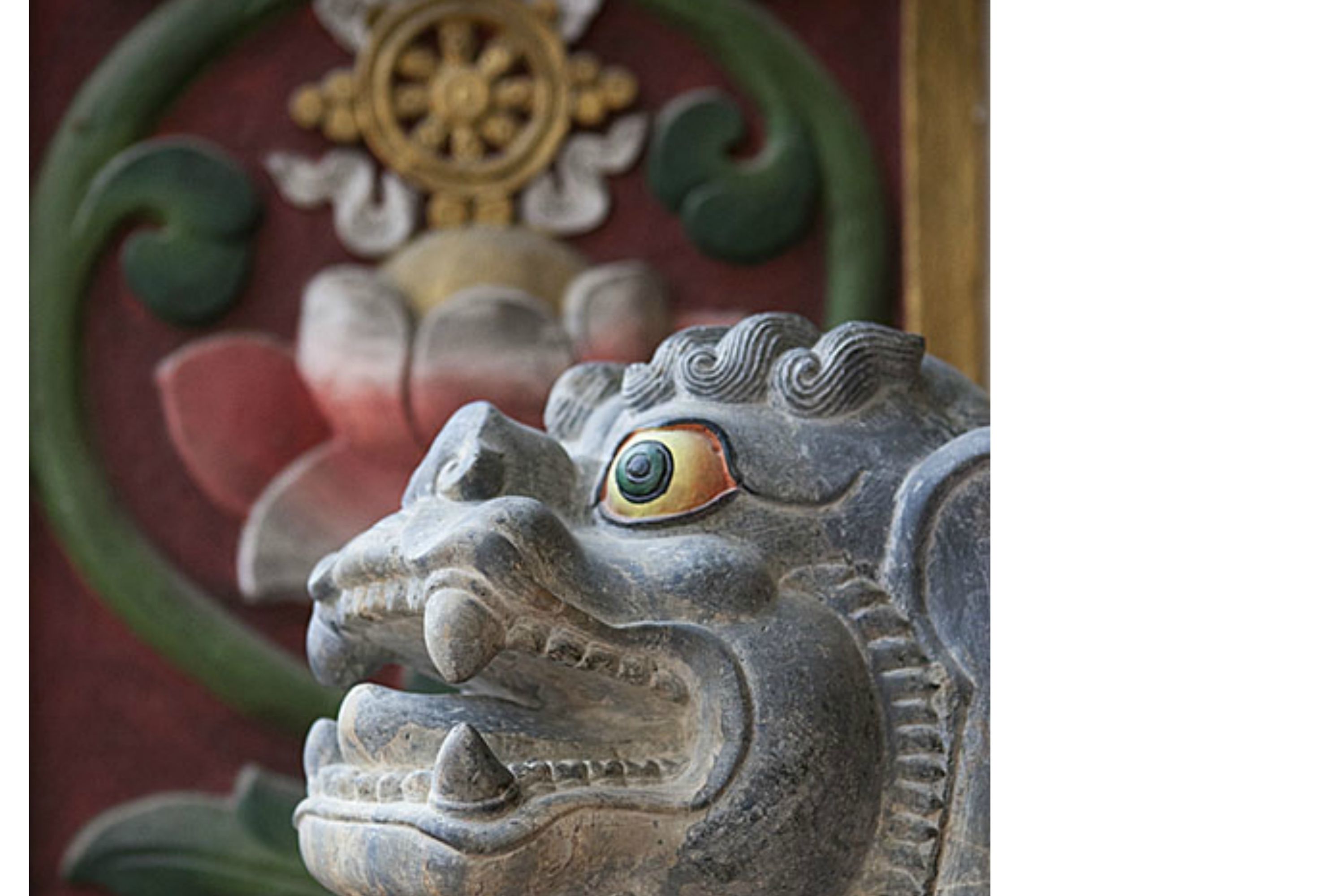 Foto - Hotel Tibet International