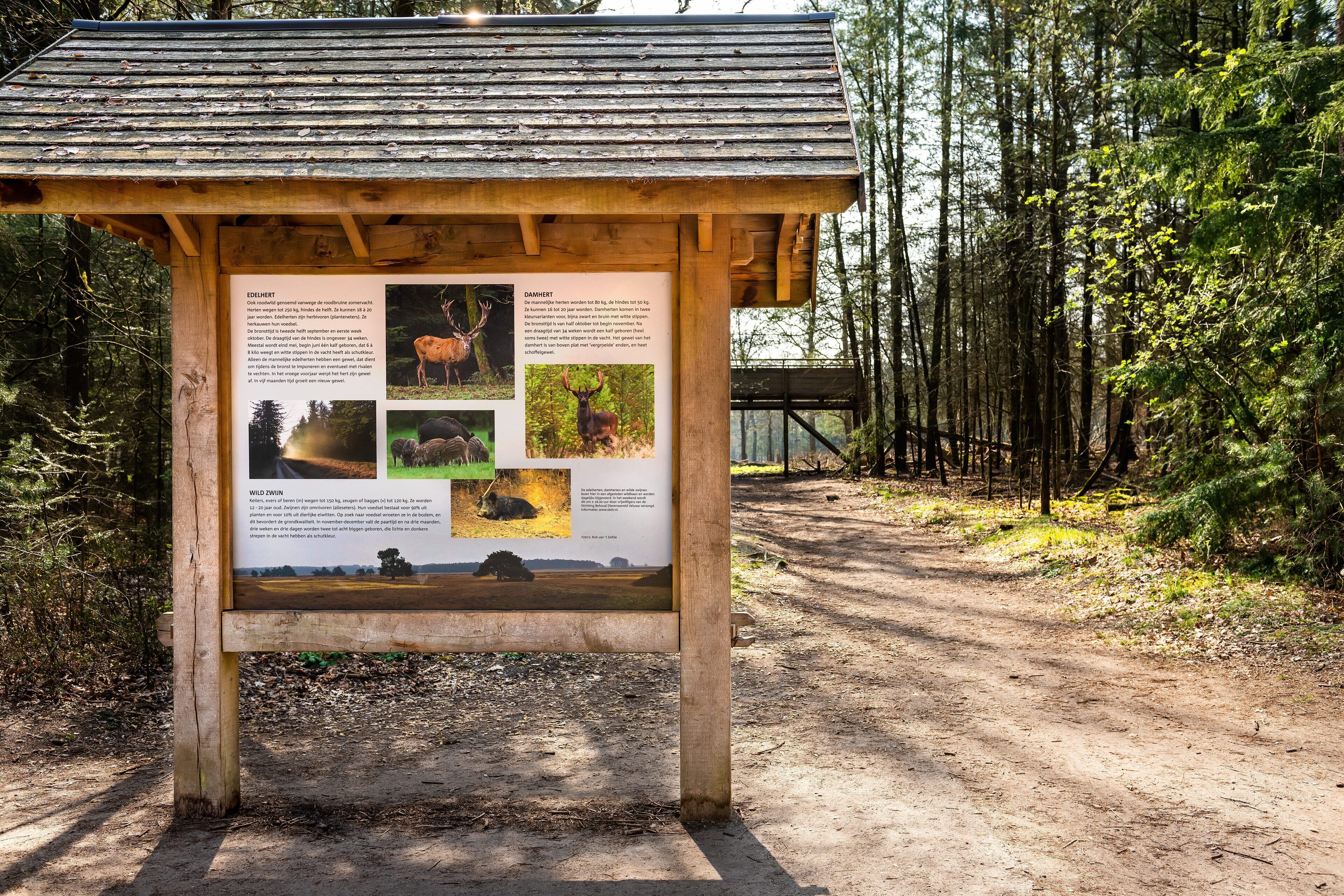 Un tablón informativo de madera con fotografías de fauna y texto, situado en una zona boscosa con un sendero de tierra.