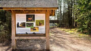 Un tablón informativo de madera con fotografías de fauna y texto, situado en una zona boscosa con un sendero de tierra.