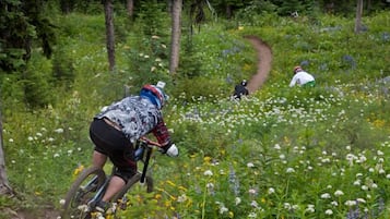 A mountain biking trail through a lush, green forest with a dirt path.