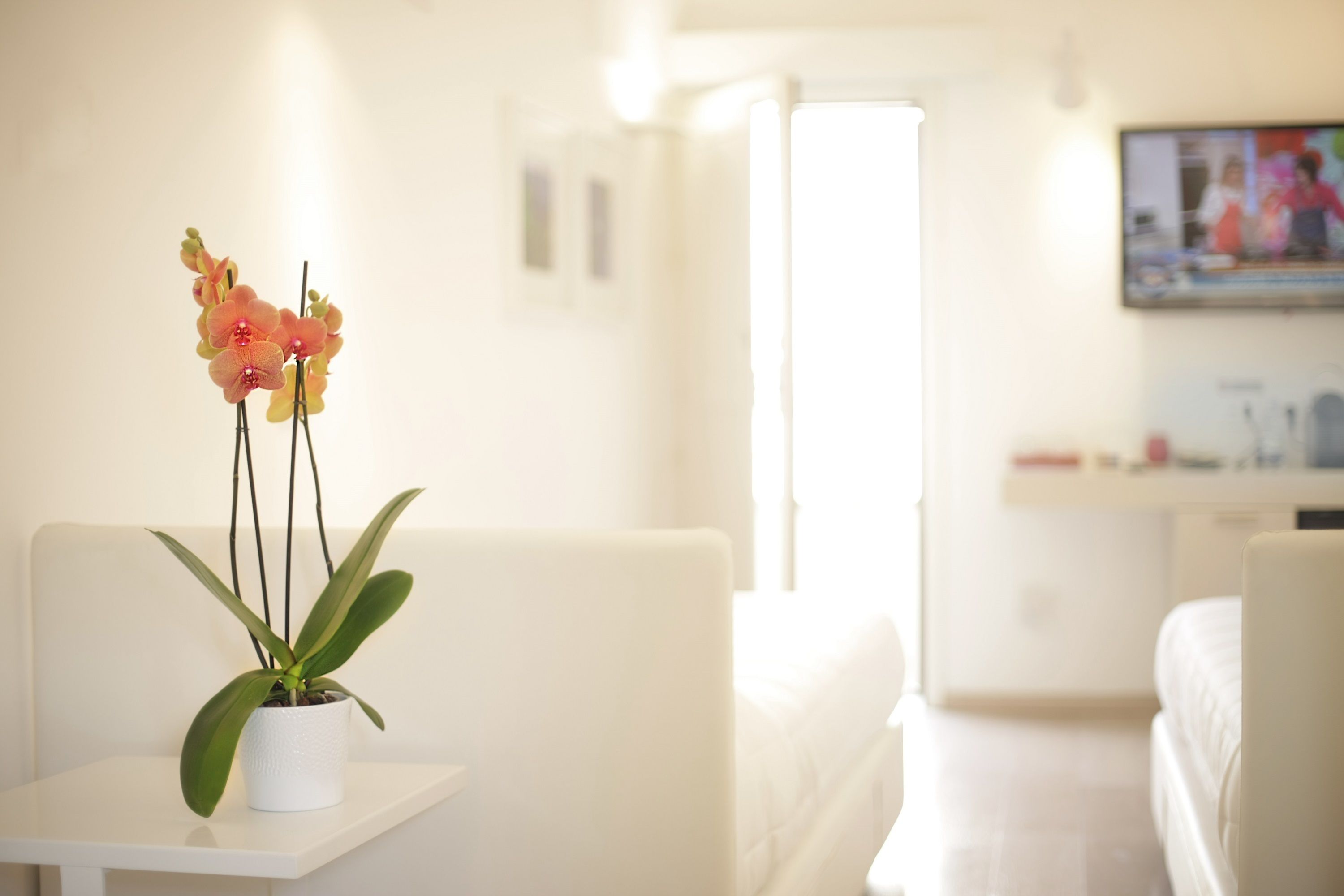 Photo - Santacroce Luxury Rooms