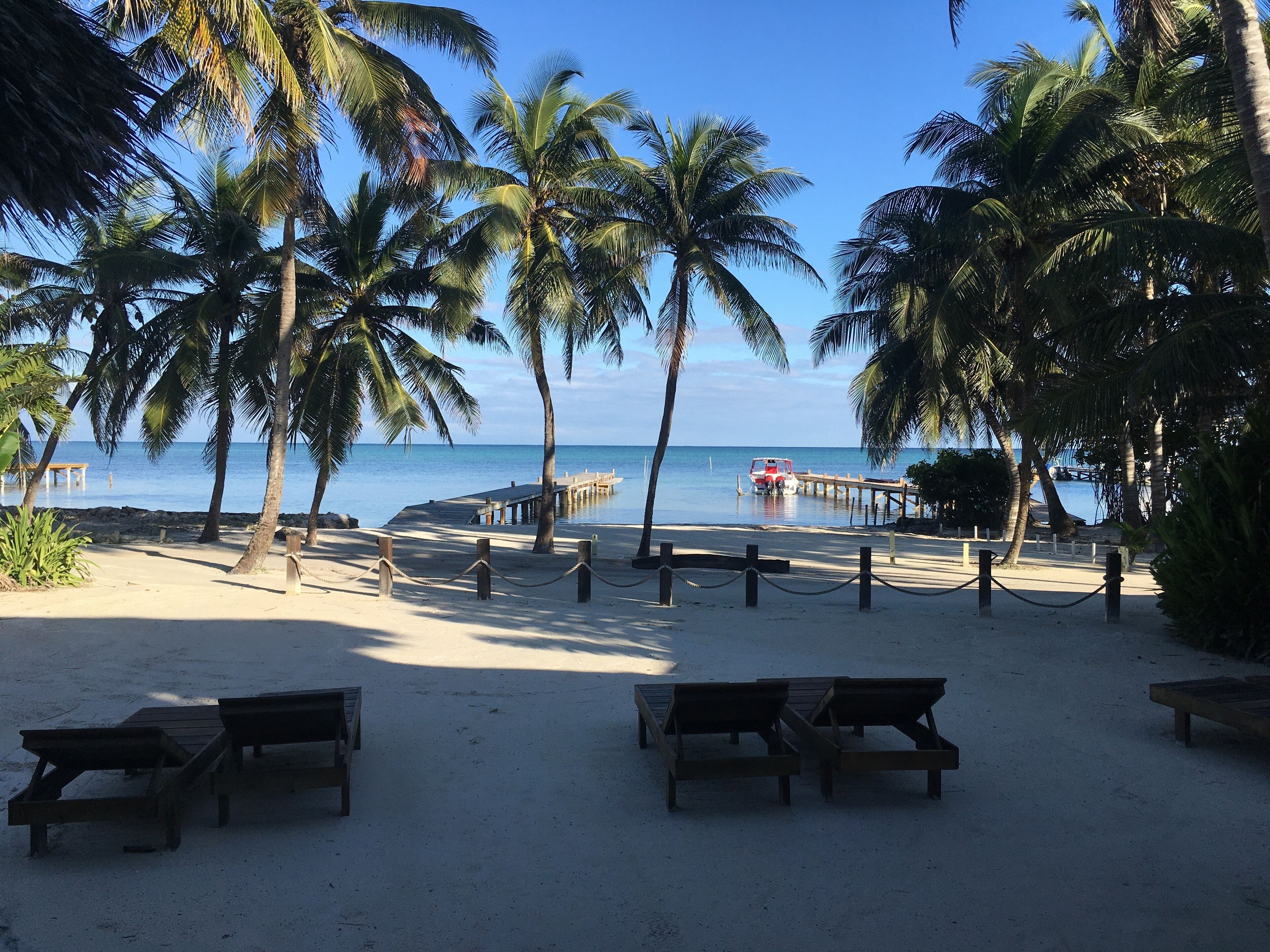 Ein Strand mit Palmen, einer Holzsteg und ein Boot, das am Ende liegt.