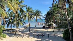 A beach with a wooden pier extending into the water, palm trees lining the path, and a clear view of the ocean. - Caye Casa (San Pedro)