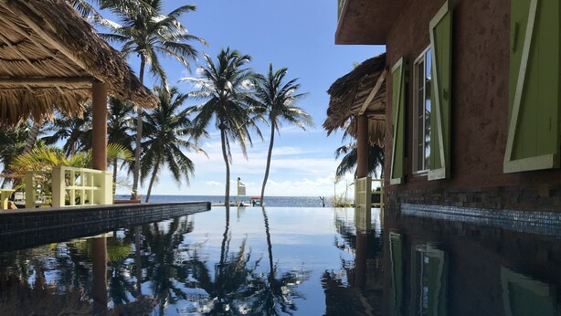 An infinity pool with palm trees and a building with green shutters. - Caye Casa (San Pedro)