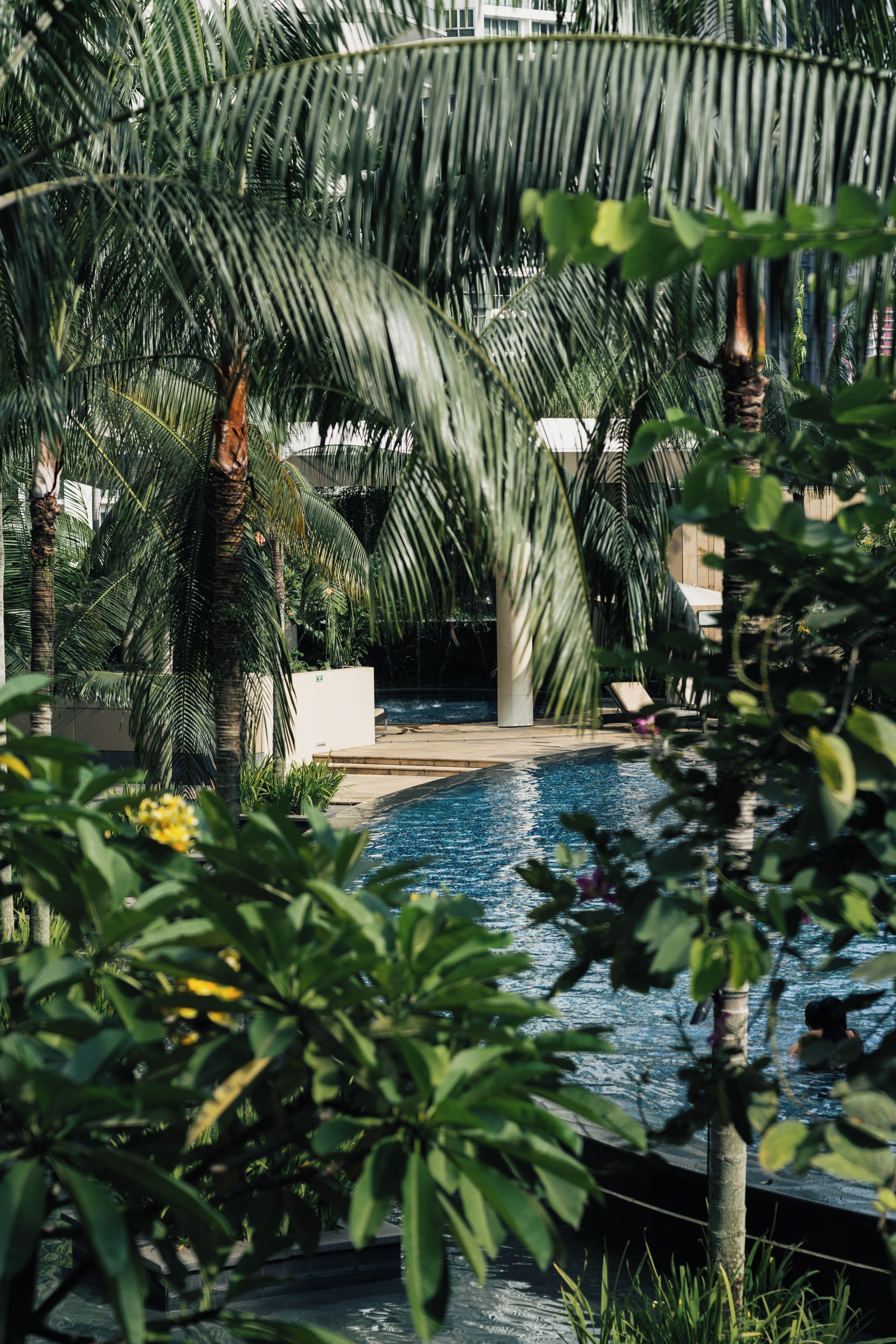Una piscina rodeada de palmeras y follaje, con una silla de descanso visible al fondo.