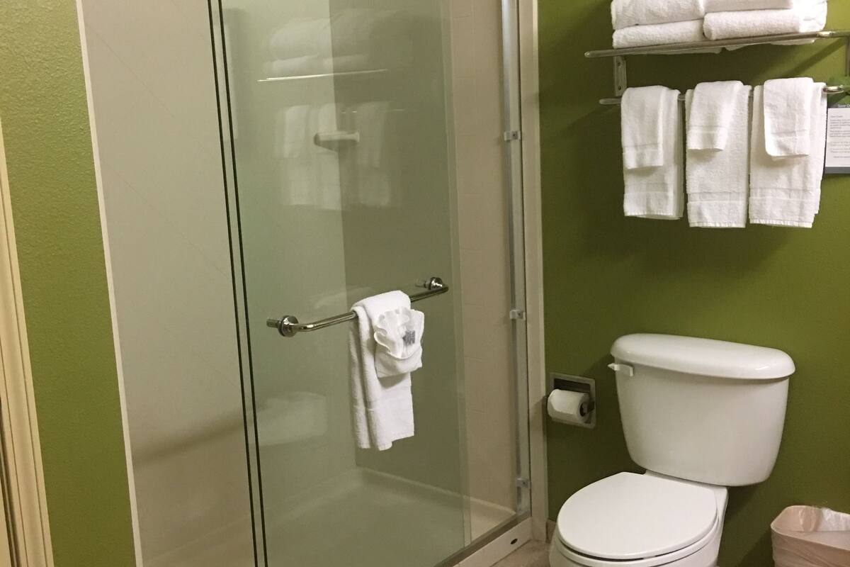 efficiency suite king non smoking | bathroom | free toiletries, hair dryer, towels