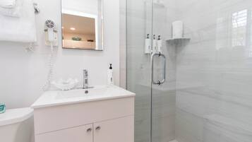 A modern bathroom with a glass shower enclosure, a white sink, and a mirror above it.