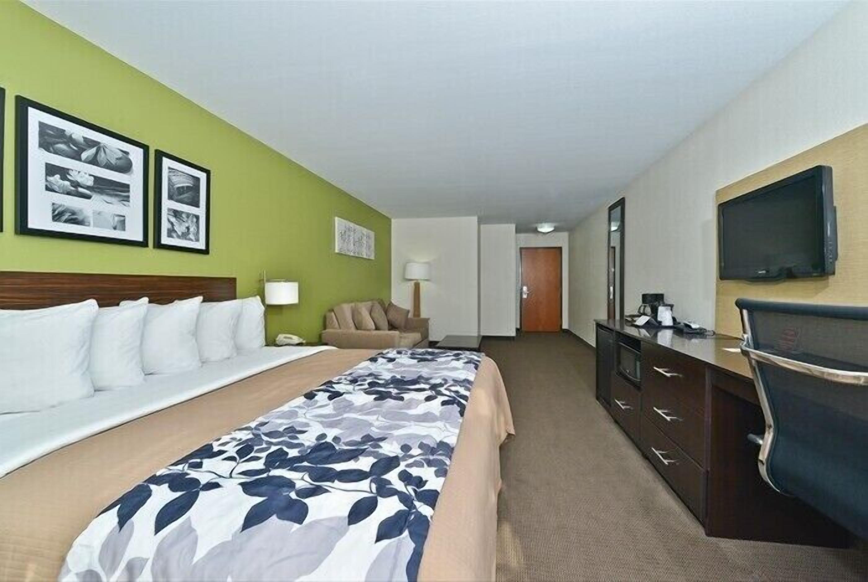 A hotel room with a bed, a desk, a chair, a TV, and a lamp.