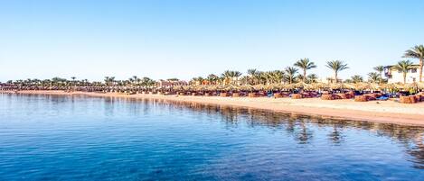 A beach with clear blue water, rows of umbrellas, and palm trees.