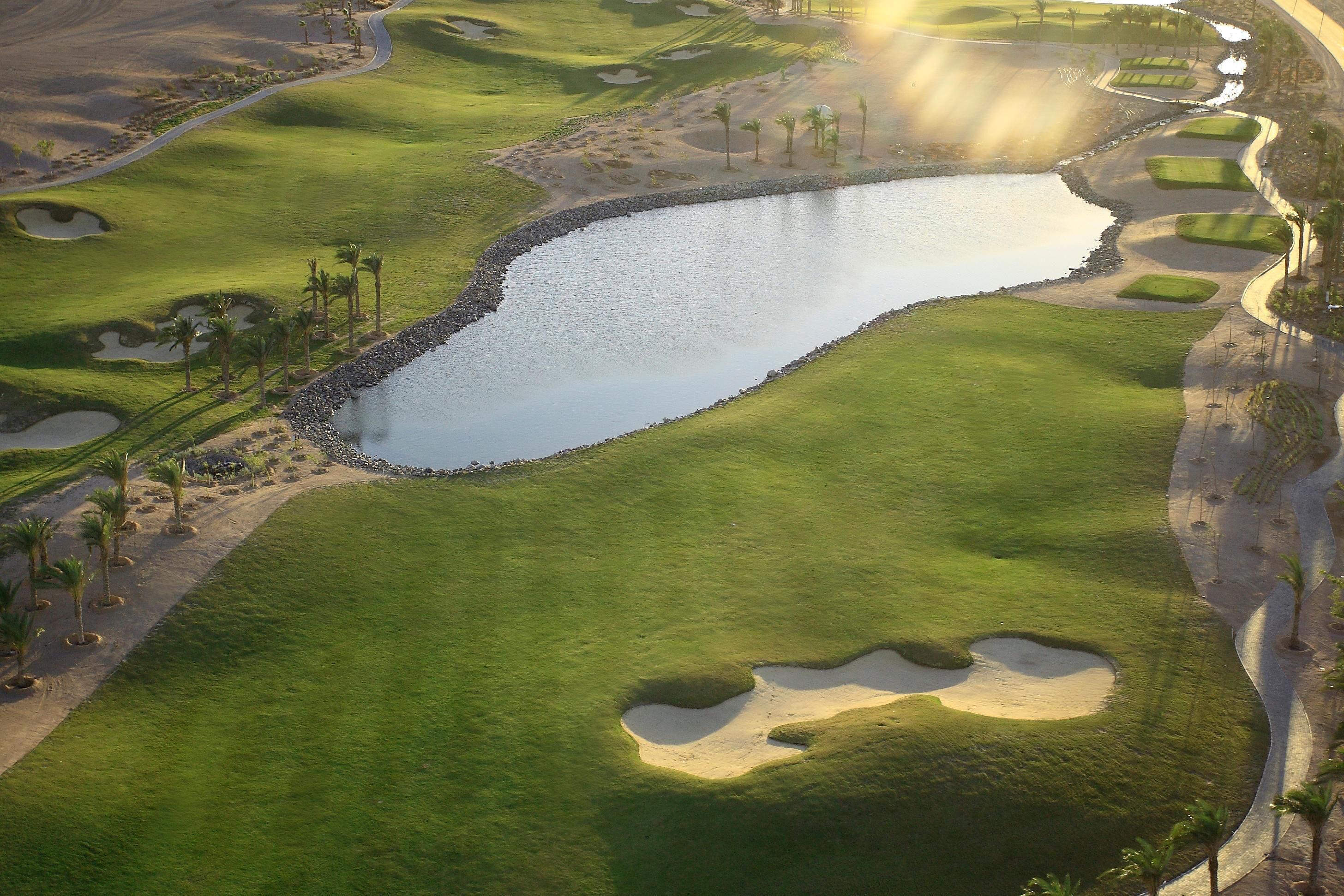 A golf course with a pond, sand bunkers, and palm trees.