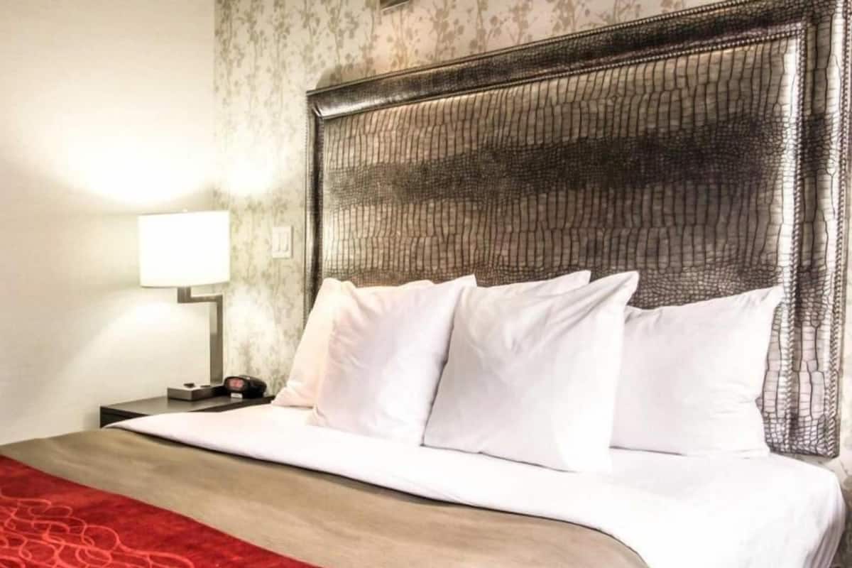 A hotel room with a bed, a nightstand, a lamp, and a red patterned blanket.