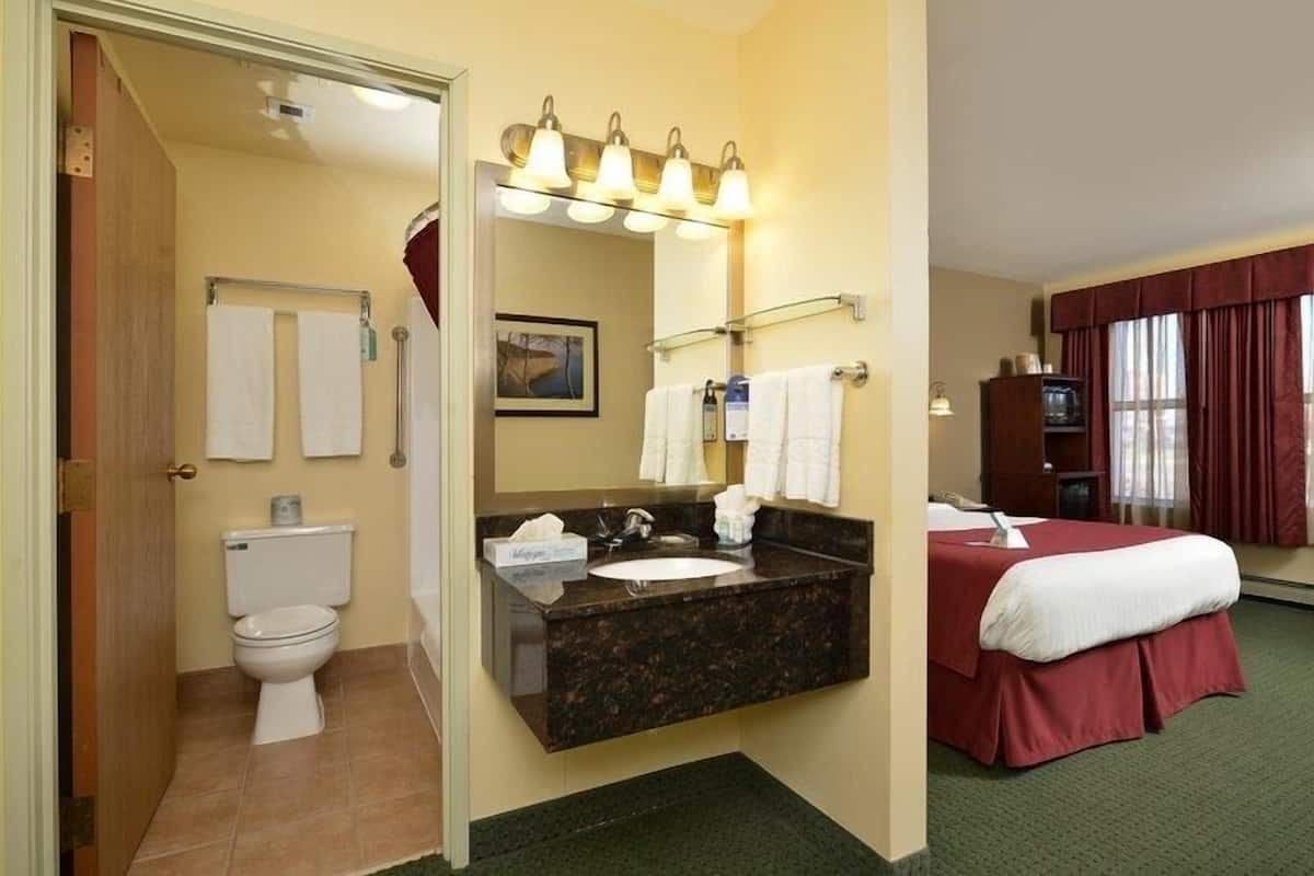 combined shower/bathtub, free toiletries, hair dryer, towels