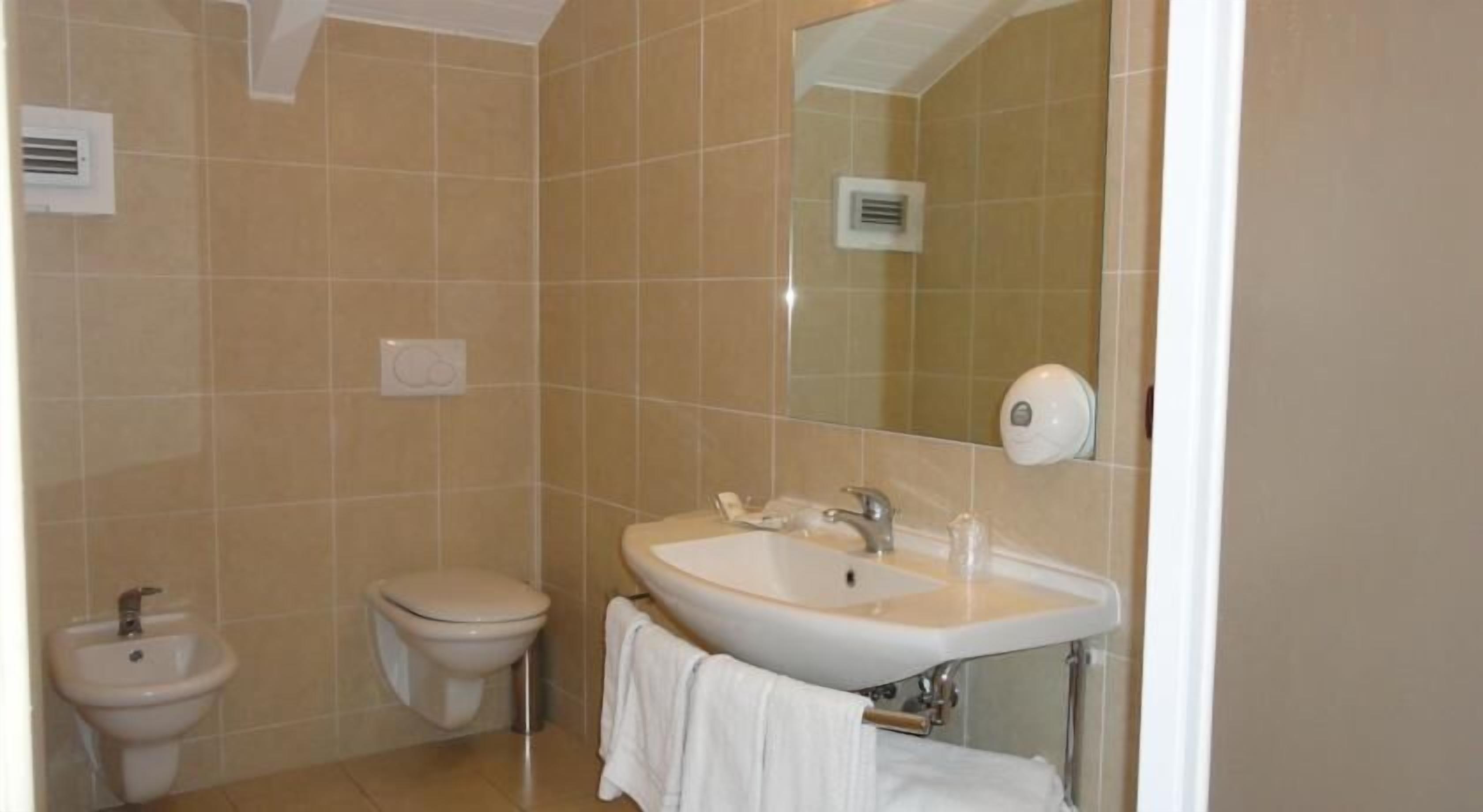 shower, free toiletries, hair dryer, bidet