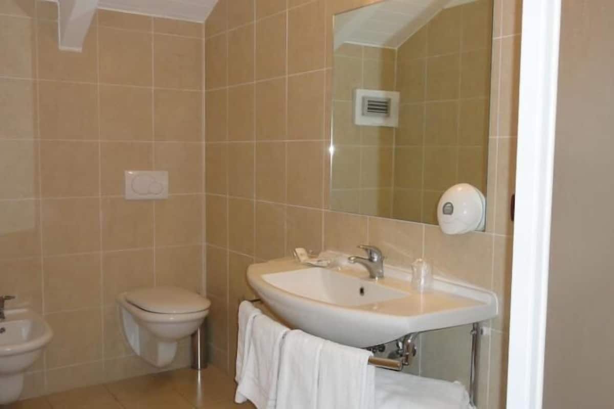 shower, free toiletries, hair dryer, bidet
