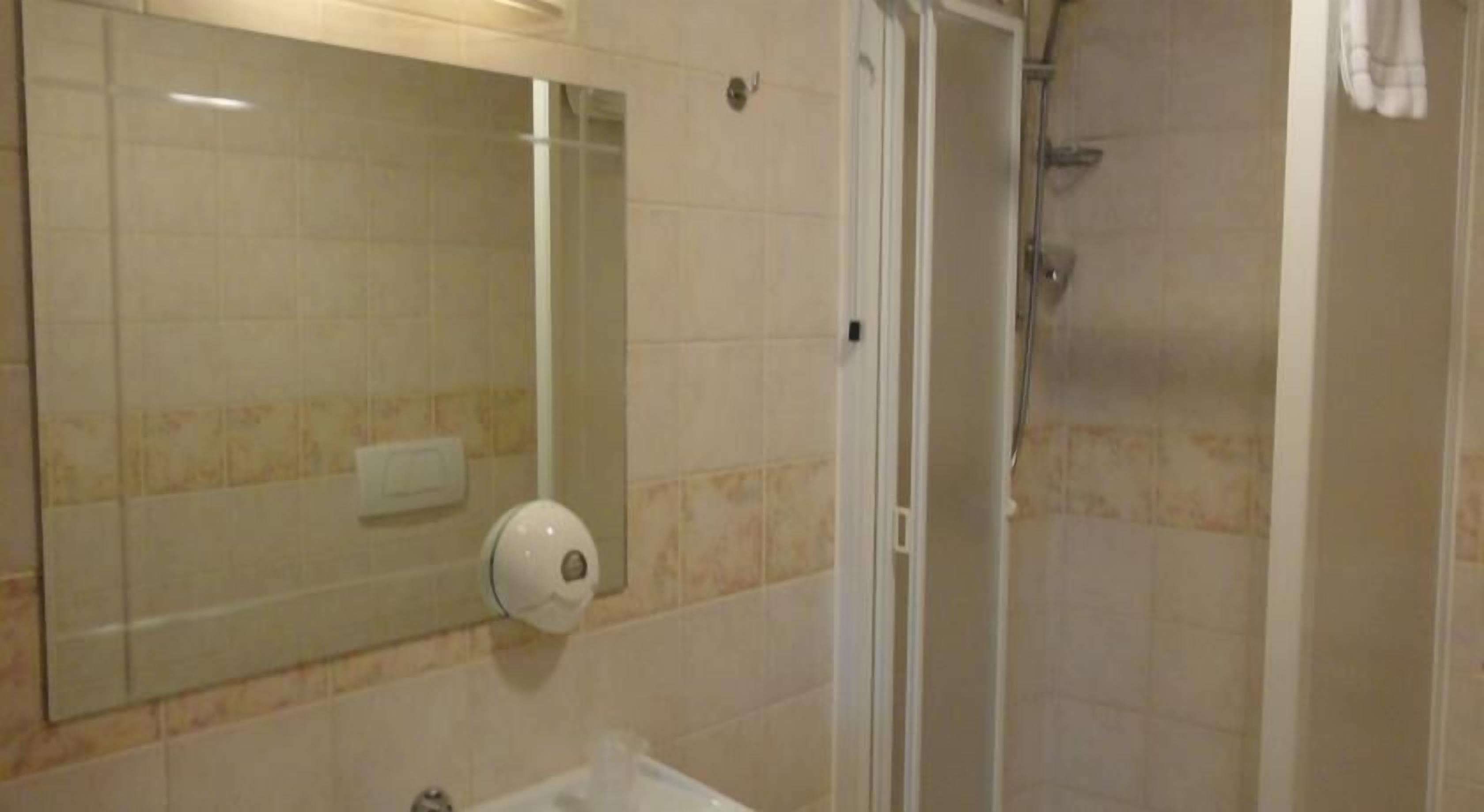 shower, free toiletries, hair dryer, bidet